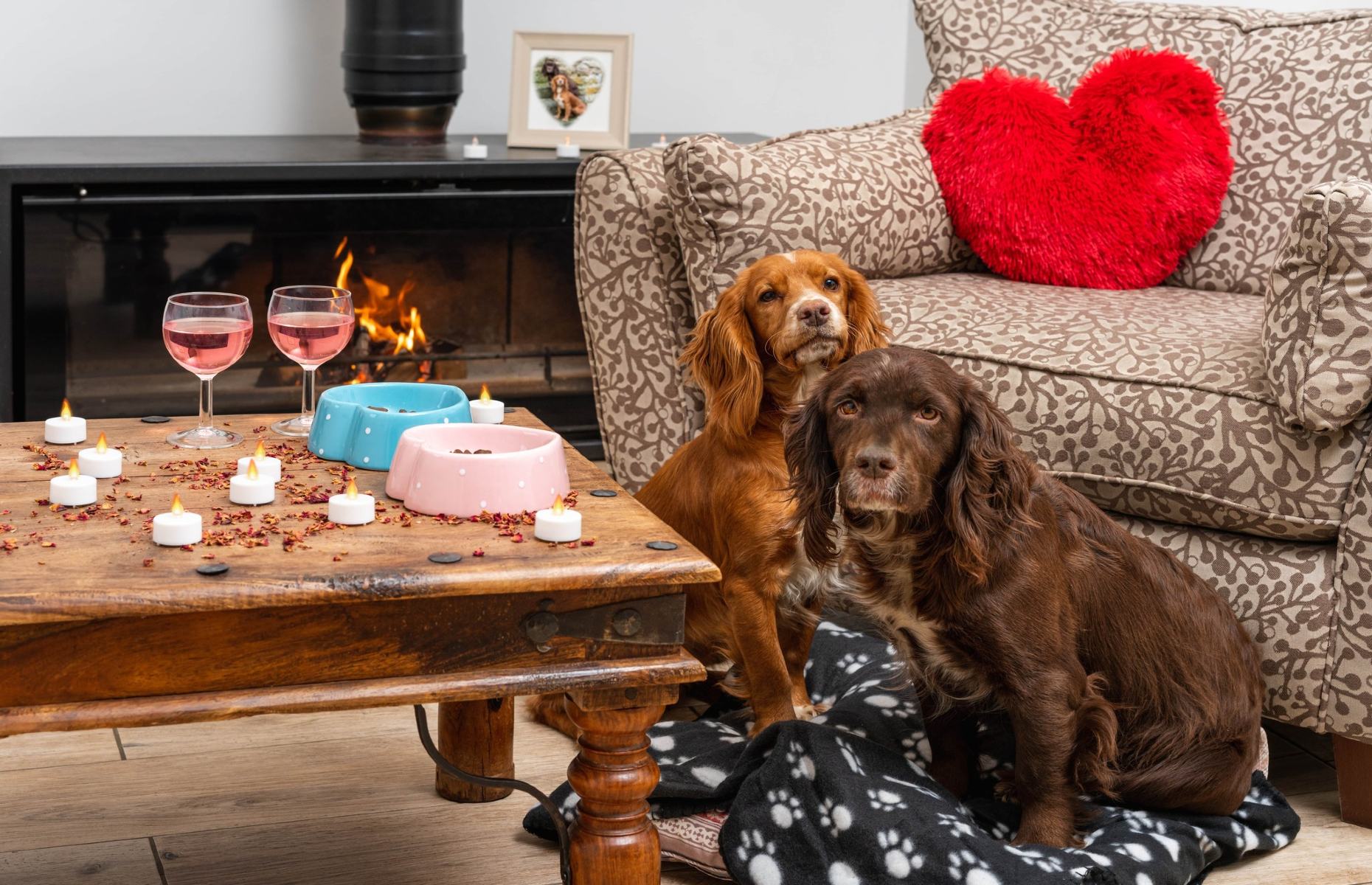 Dogs in a Canine Cottage (Canine Cottages/Facebook)