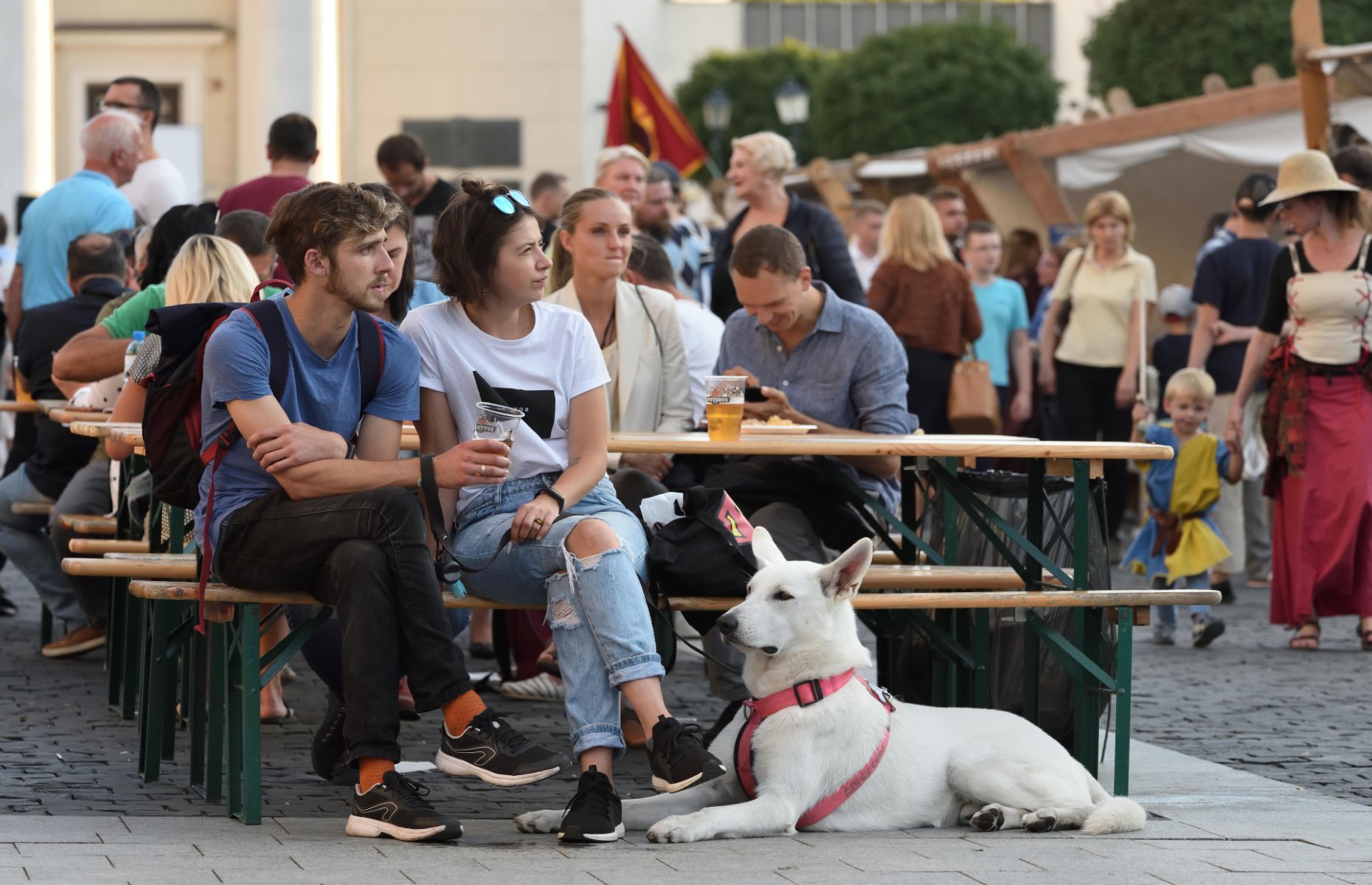 Dog sitting patiently at a busy restaurant (Image: studio4a/Alamy) 