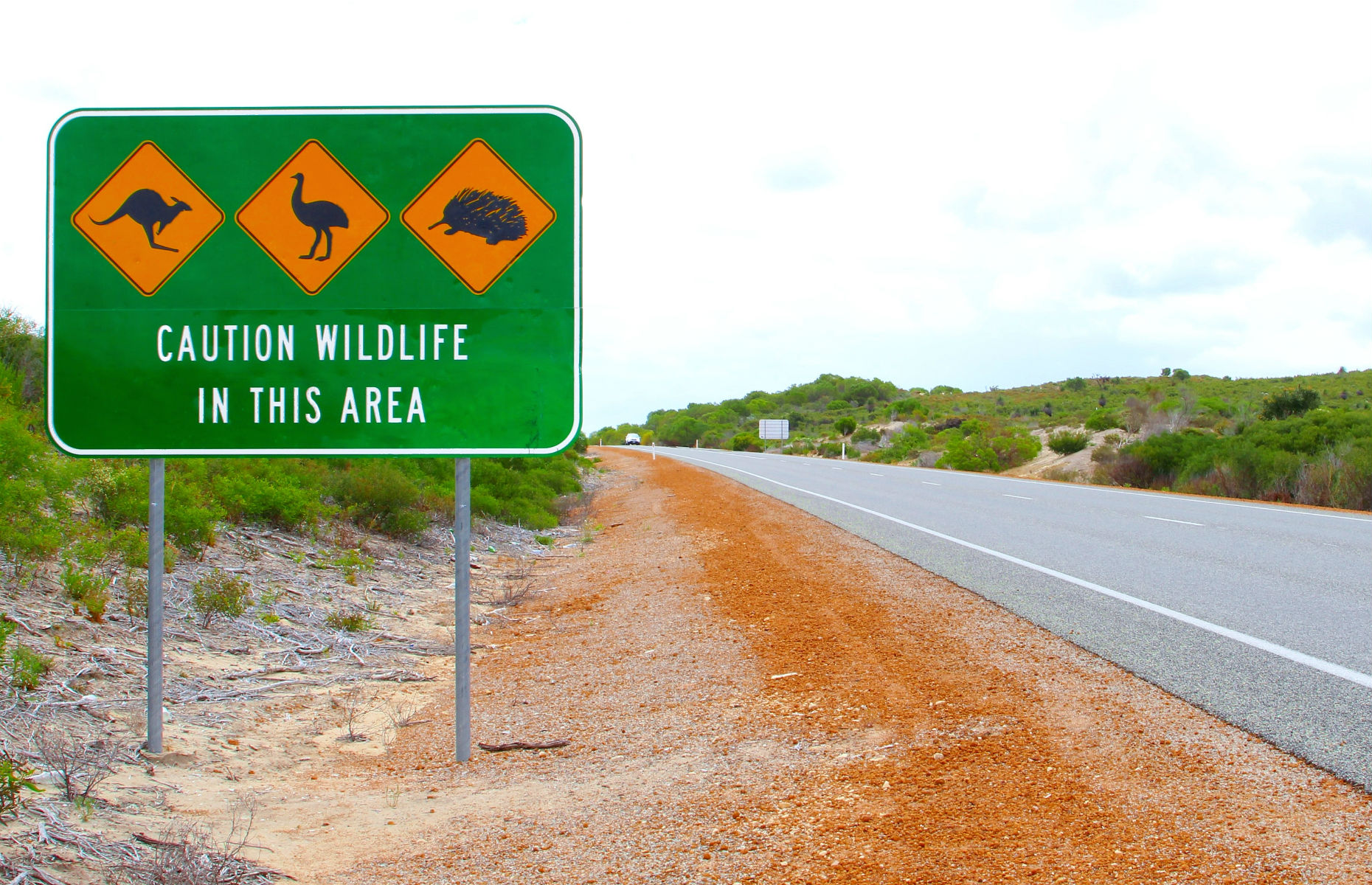 Australia_wildlife_signs