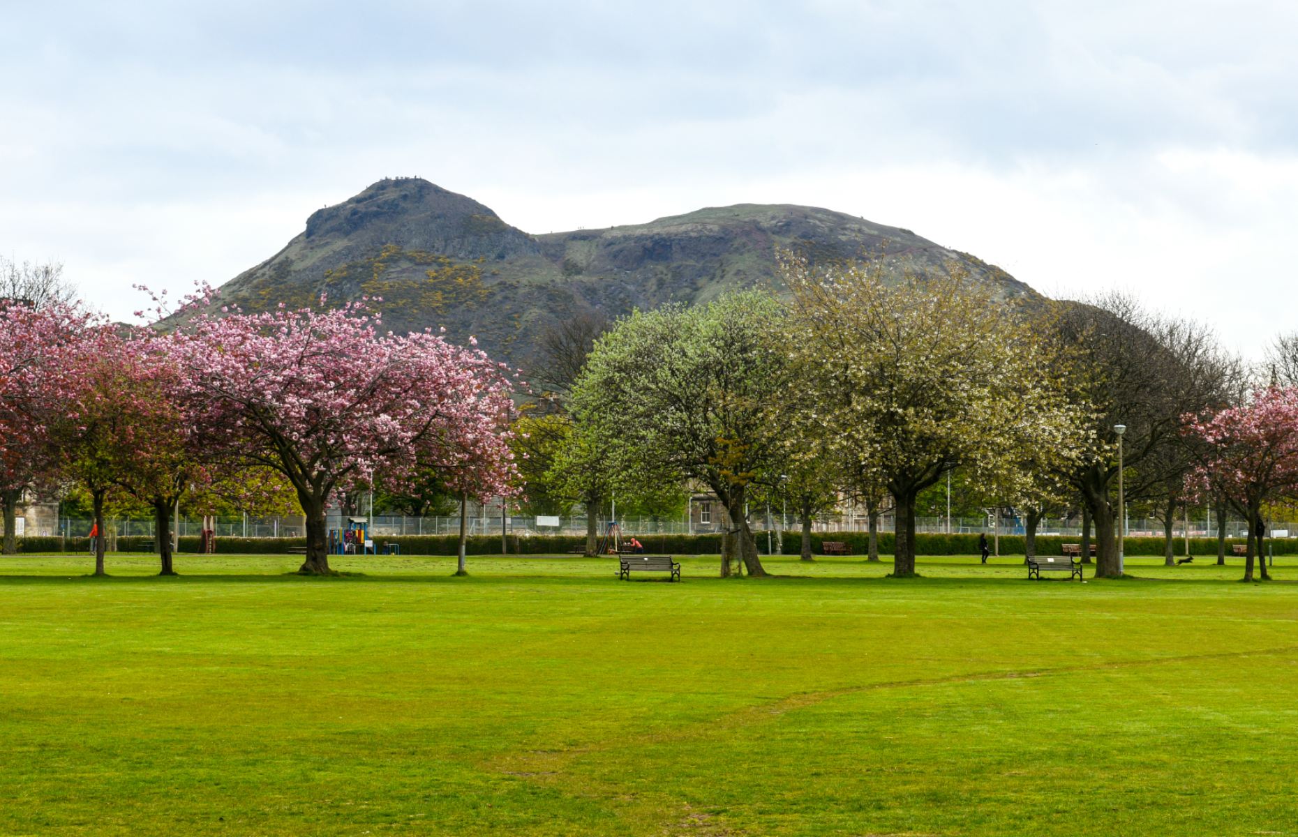 The Meadows (Image: ABO PHOTOGRAPHY/Shutterstock)