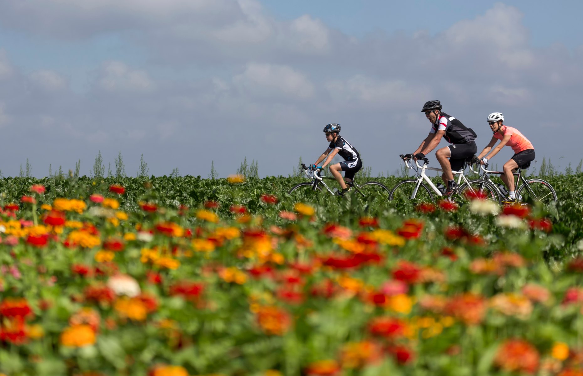 Cycling in Holland (Image: NBTC Holland Marketing)