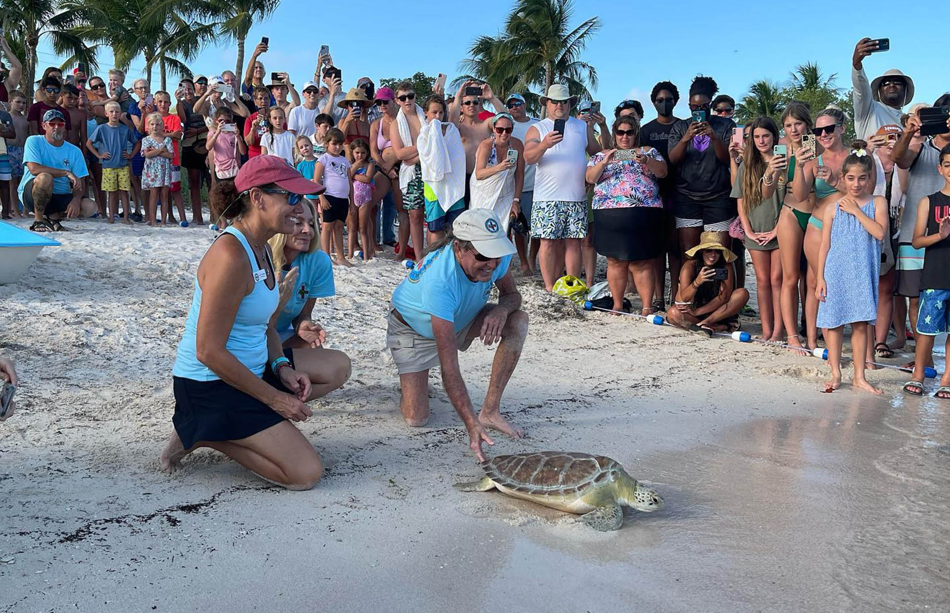 Turtle Hospital rescue (Image: The Turtle Hospital/Facebook)