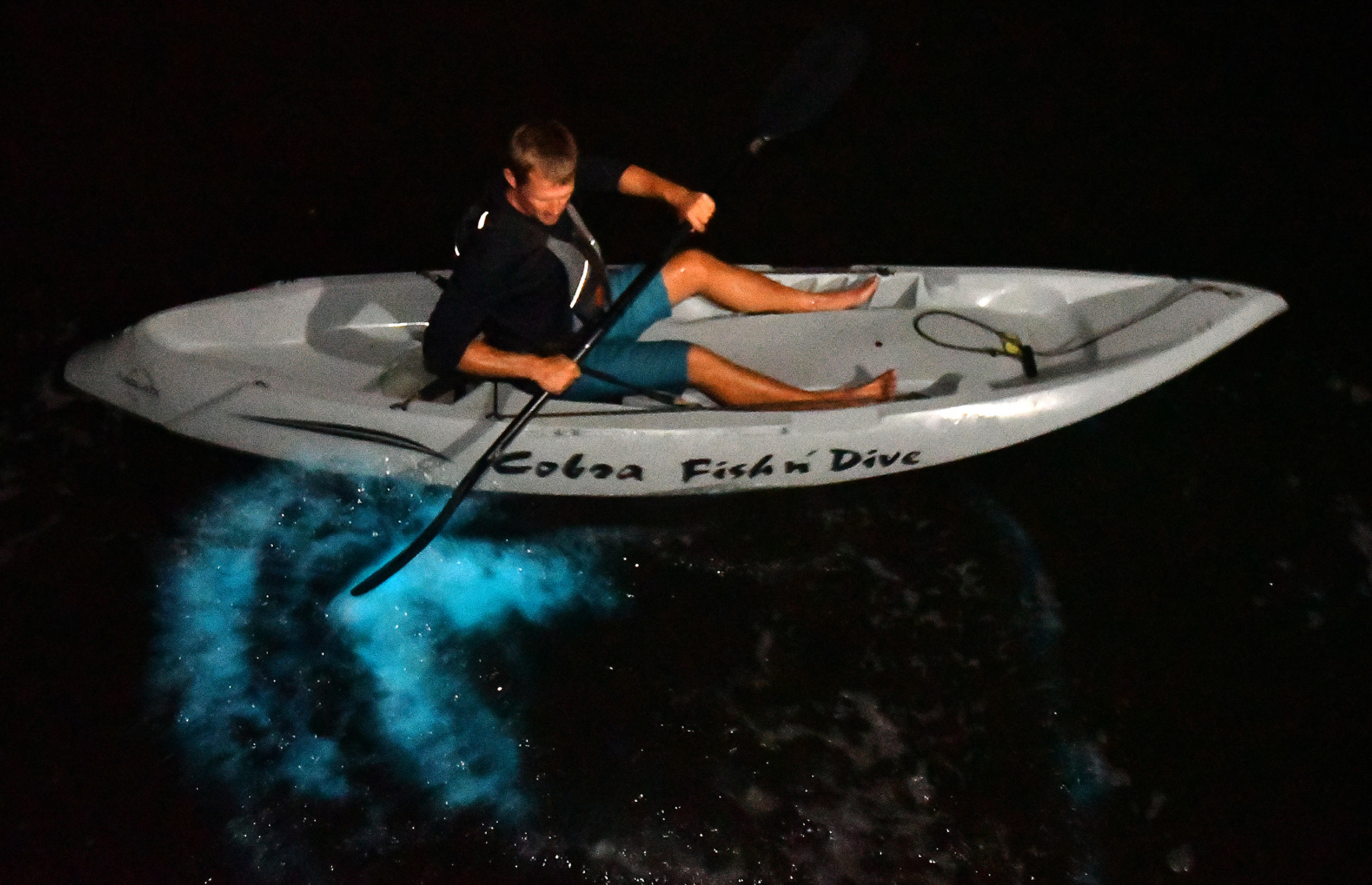 Bioluminescent bay on Florida's Space Coast. (Image: Courtesy of Fin Expeditions)
