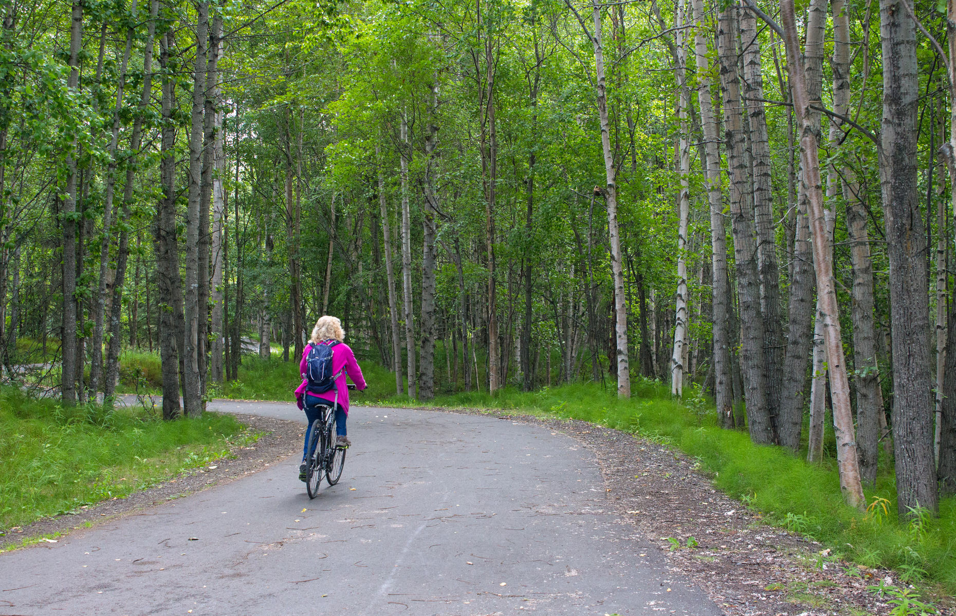 Tony Knowles Coastal Trail (Image: Lisa A. Ernst/Shutterstock)