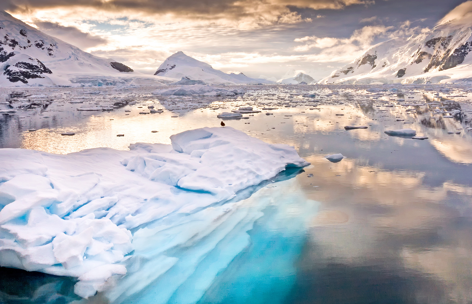 Paradise Bay, Antarctica без смс