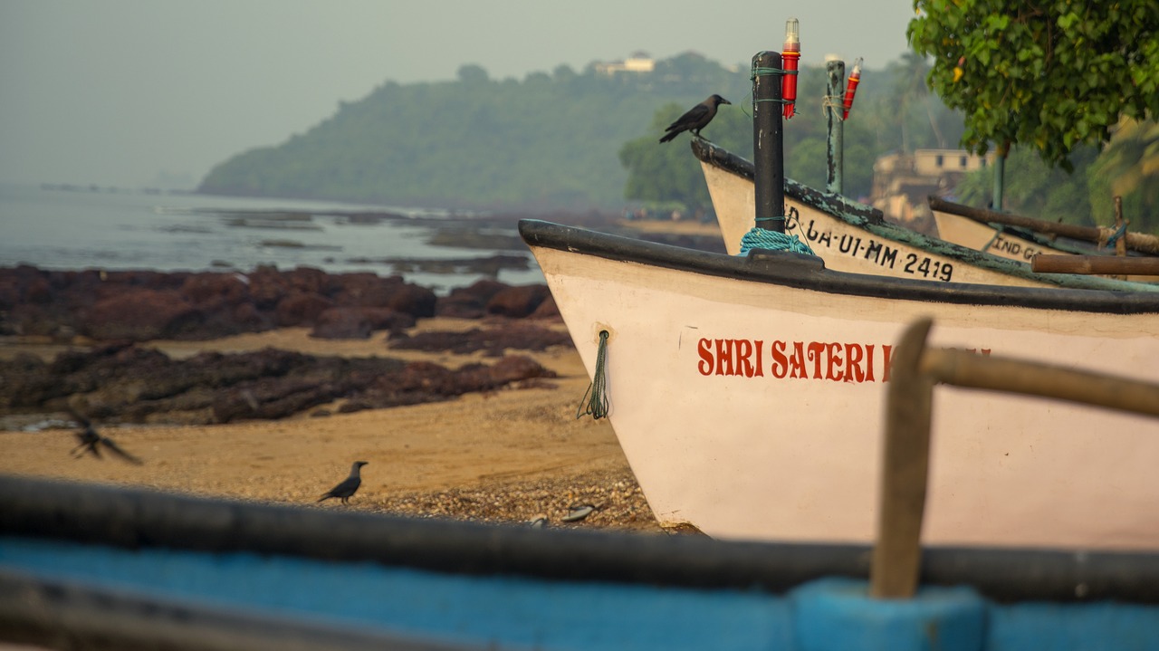 Boat, beach, Goa