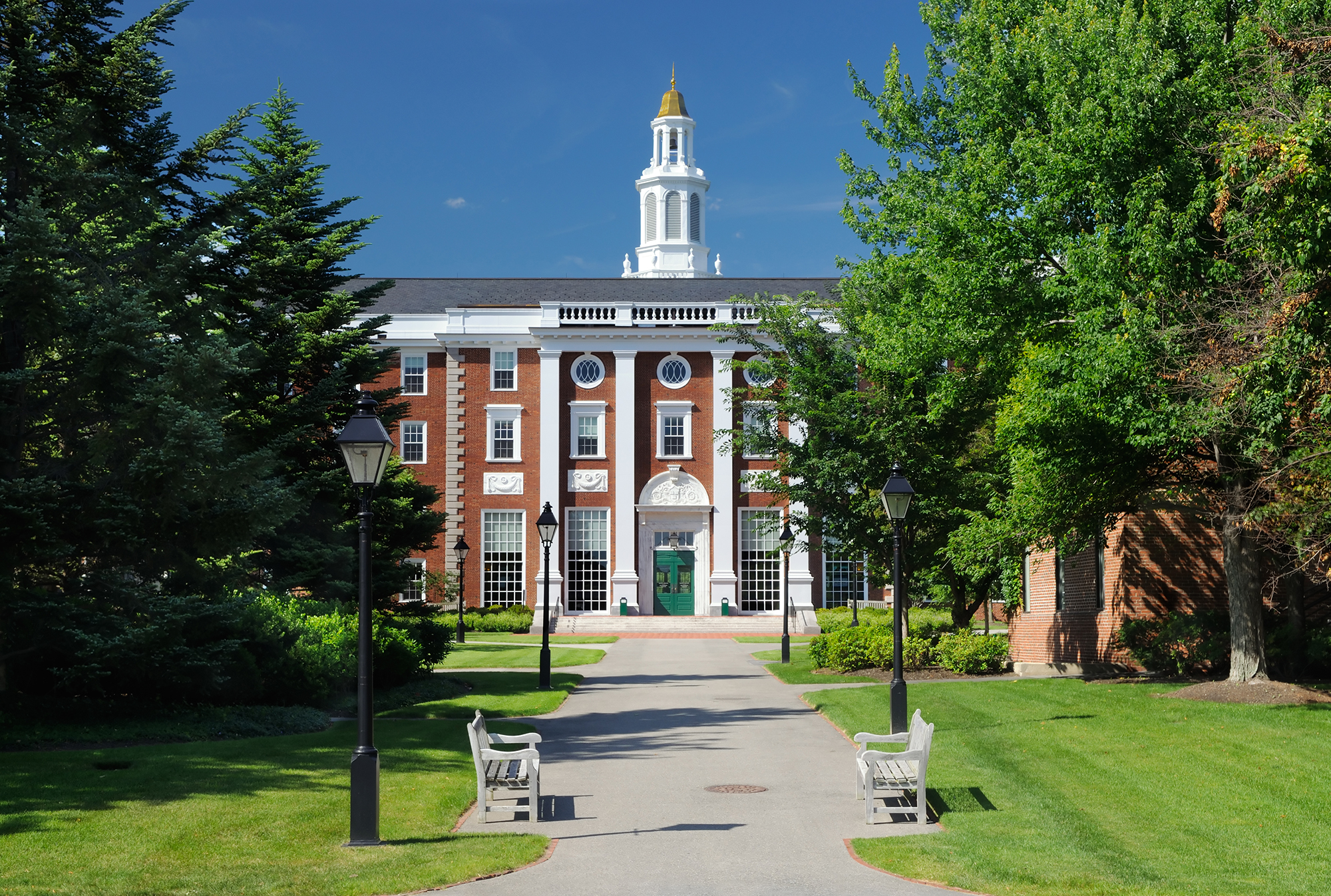 Harvard University