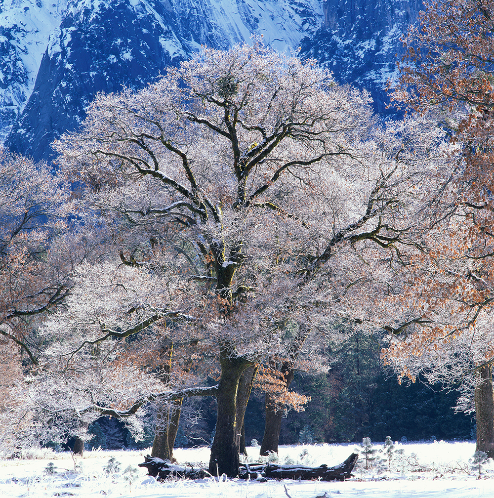 Yosemite, USA