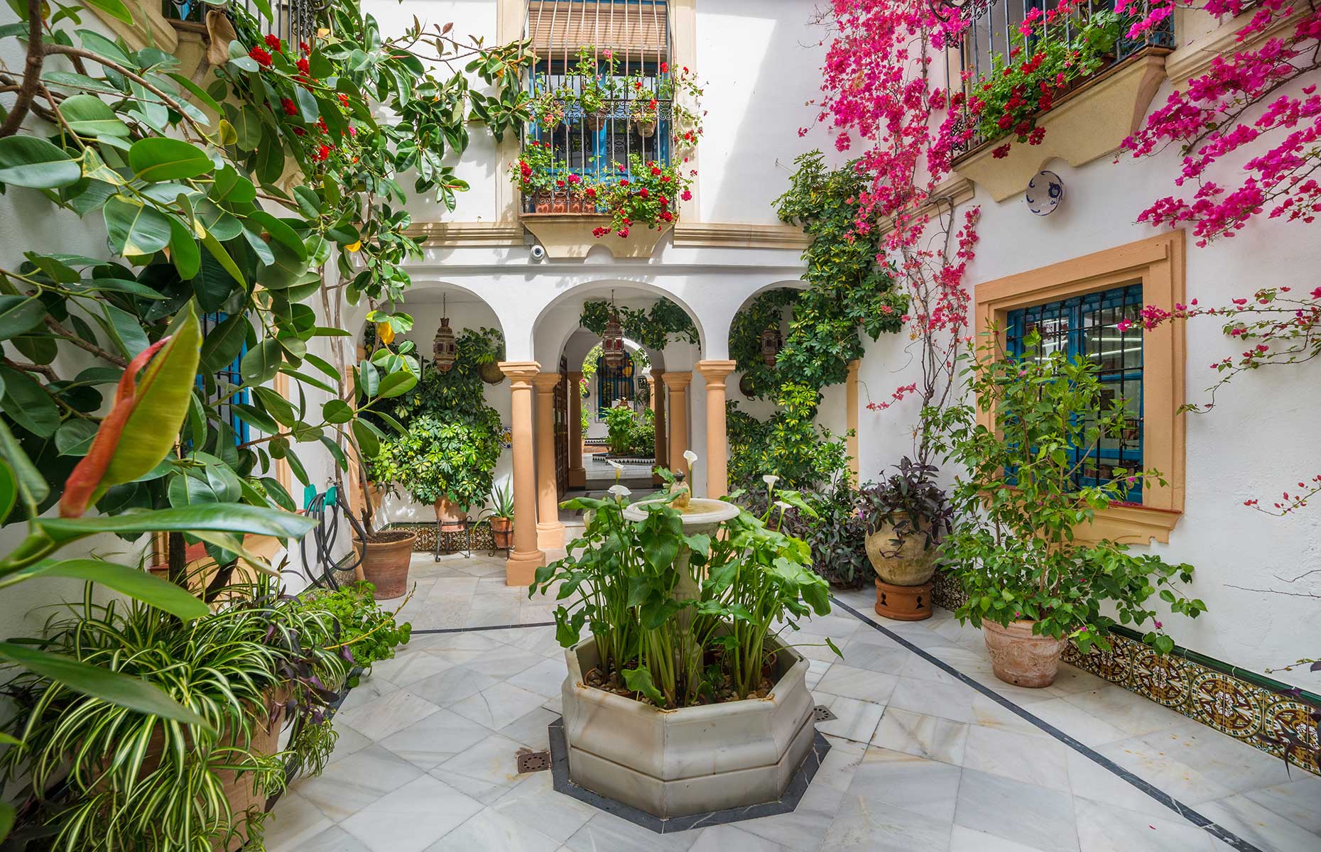 Traditional Córdoban patio (Image: Cristian Balate/Shutterstock)