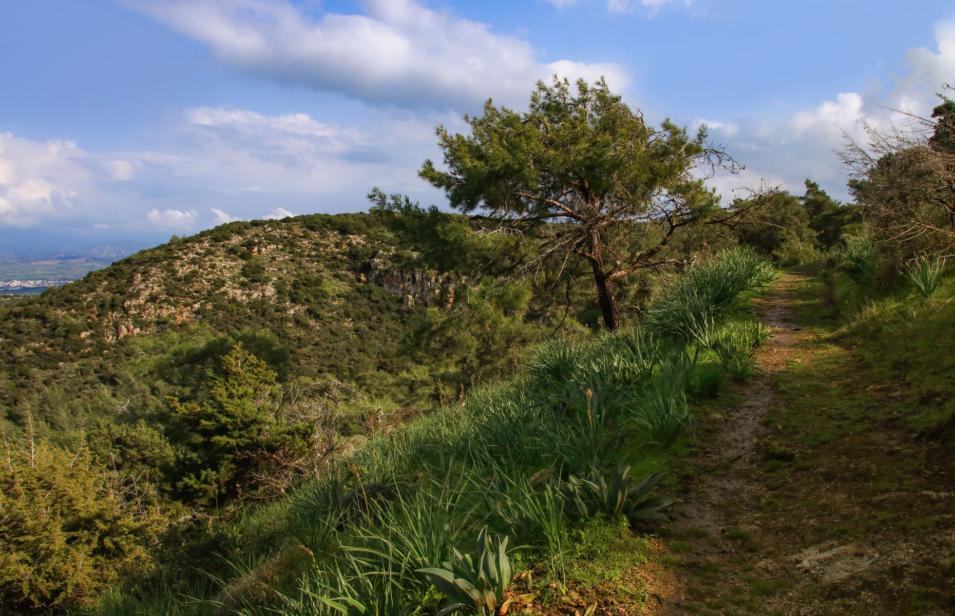 Smigies nature trail