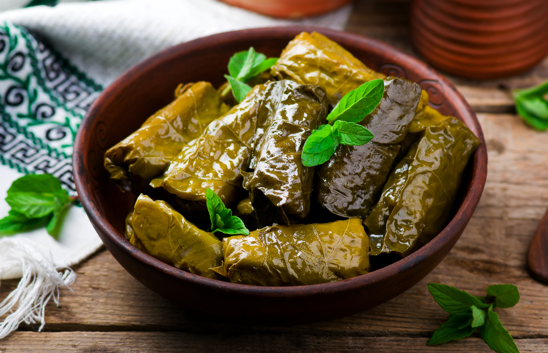 stuffed vine leaves