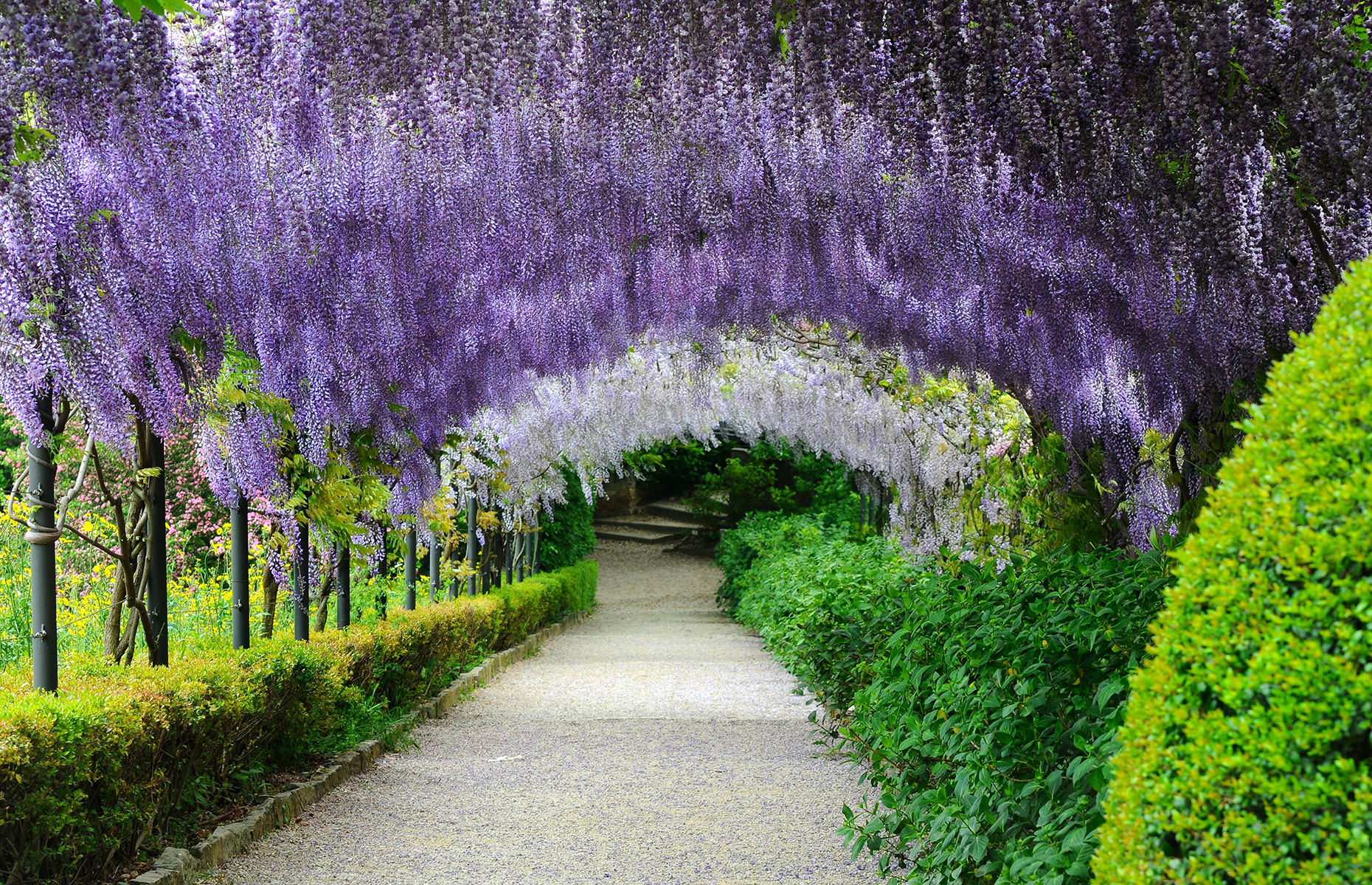 Giardino Bardini