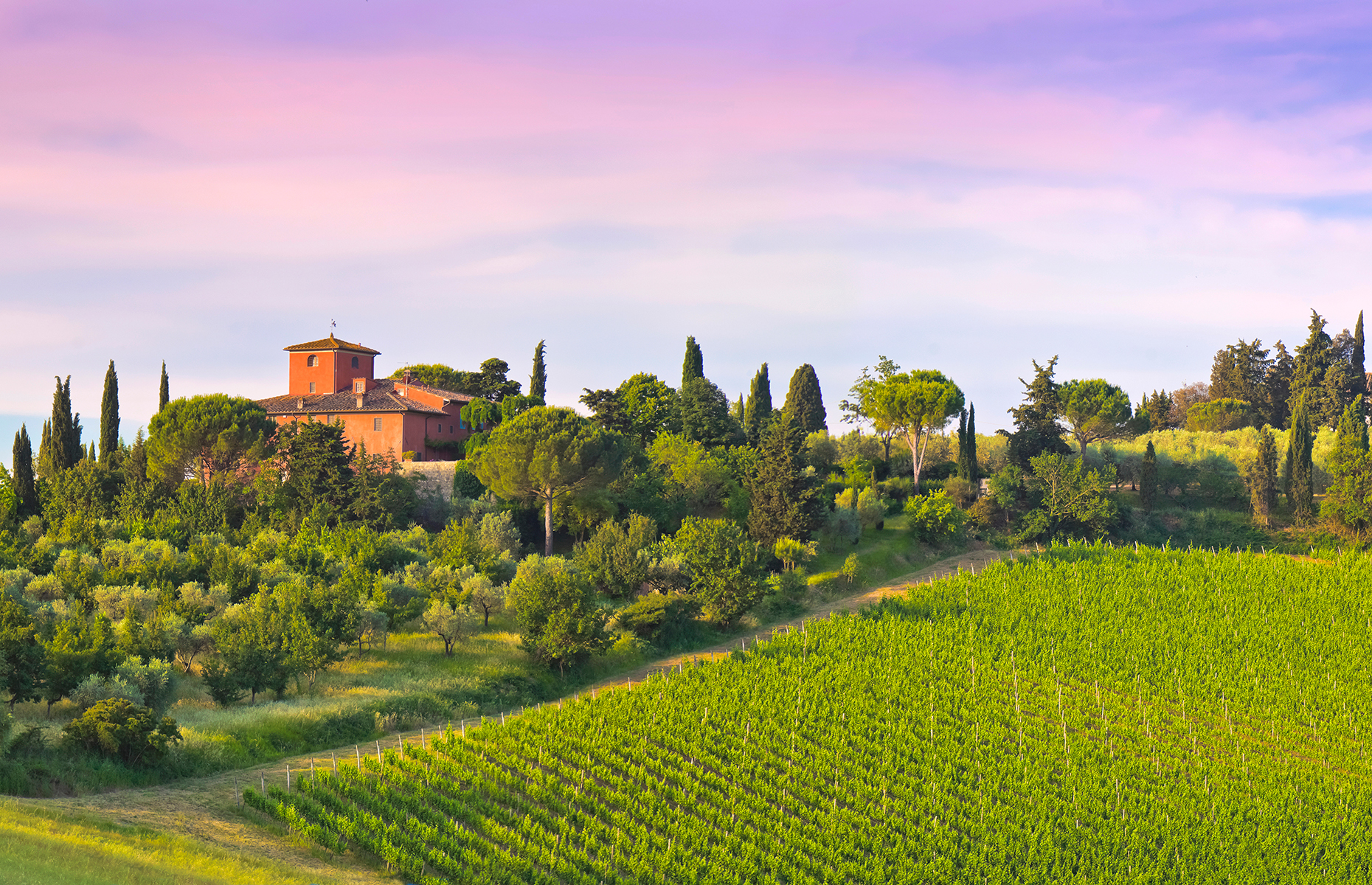 Chianti region, Tuscany