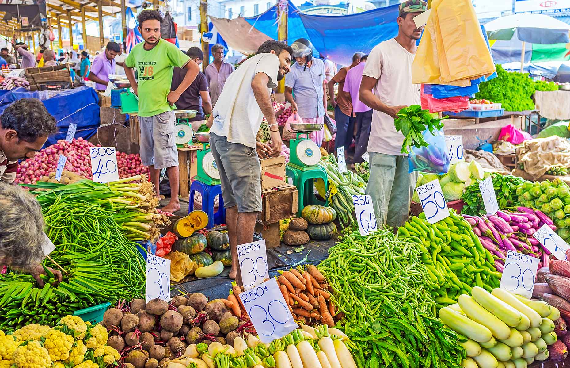 Pettah market in Colombo offers stall after stall of locally grown fruit and veg