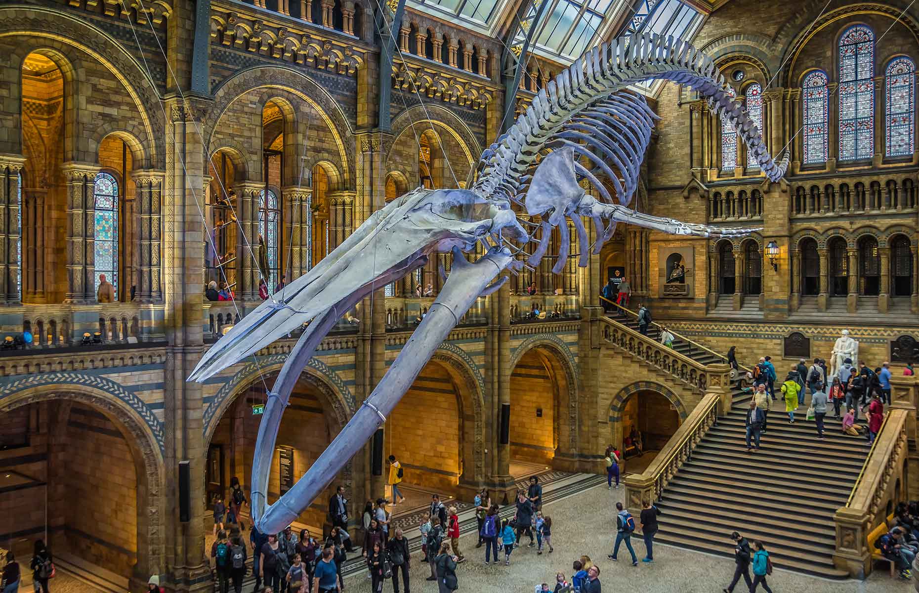 The Natural History Museum