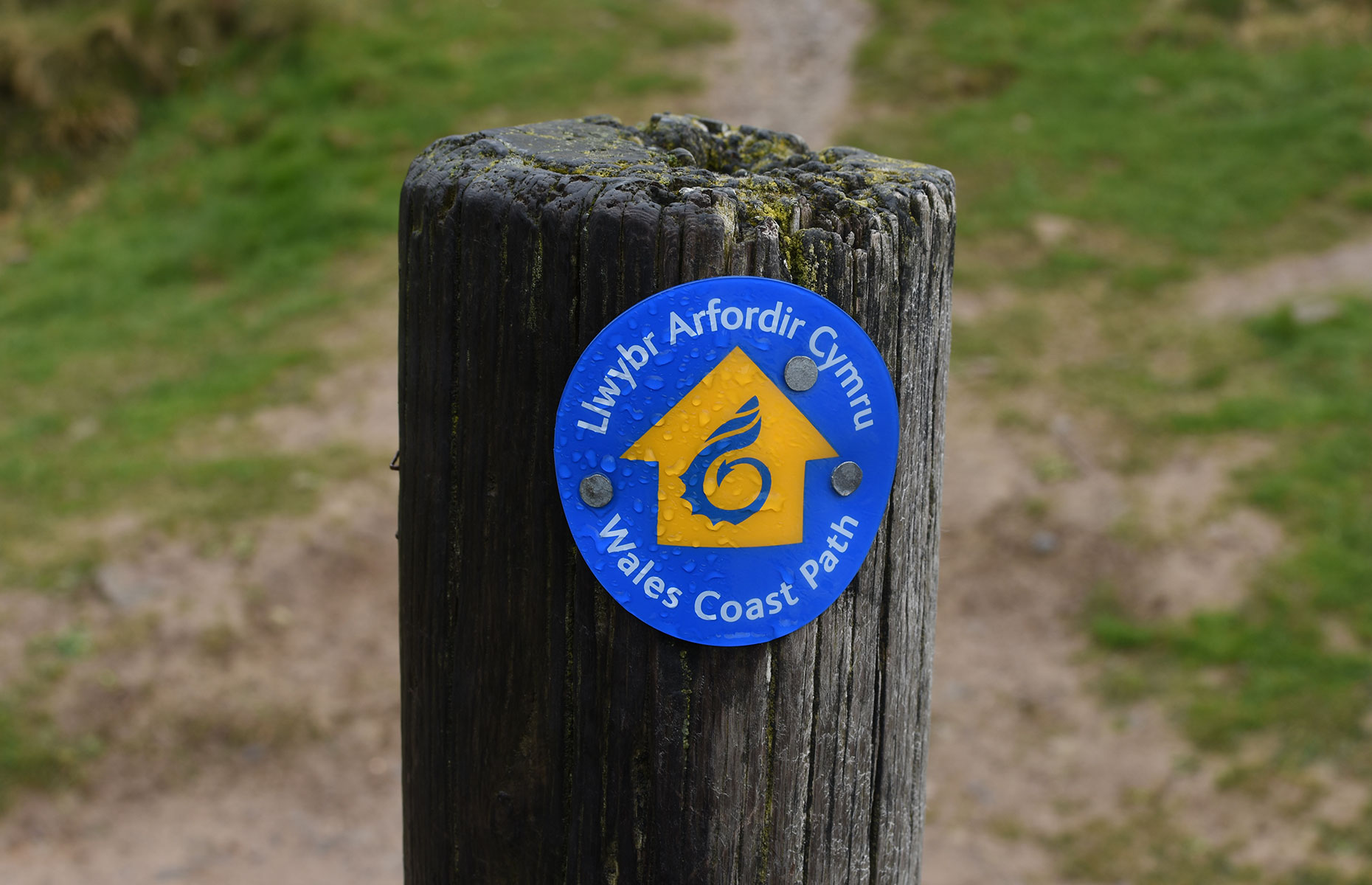 Waymarker on the Wales Coast Path