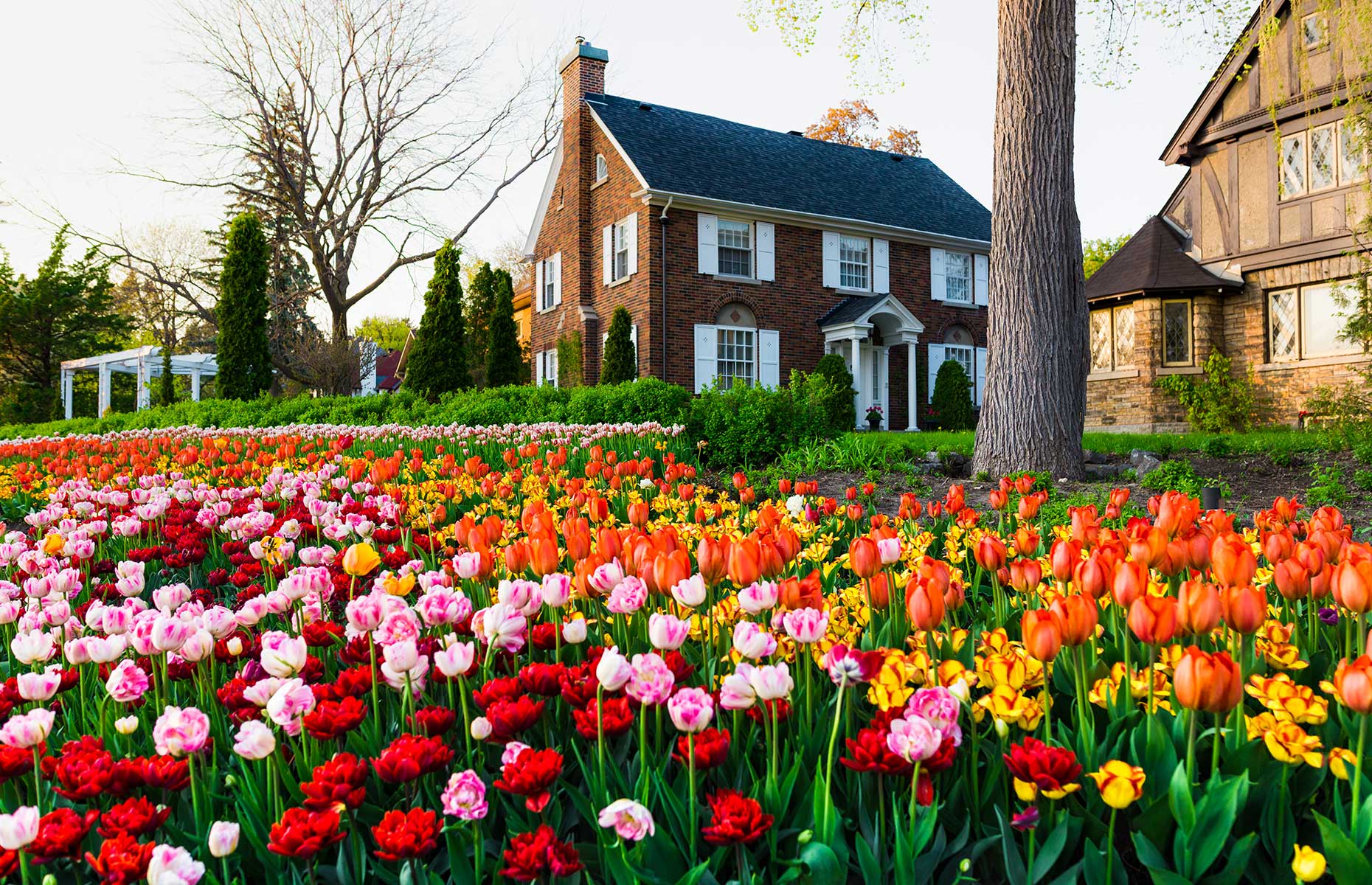 Tulip festival, Ottawa, Ontario, Canada (Image: Facto Photo/Shutterstock)