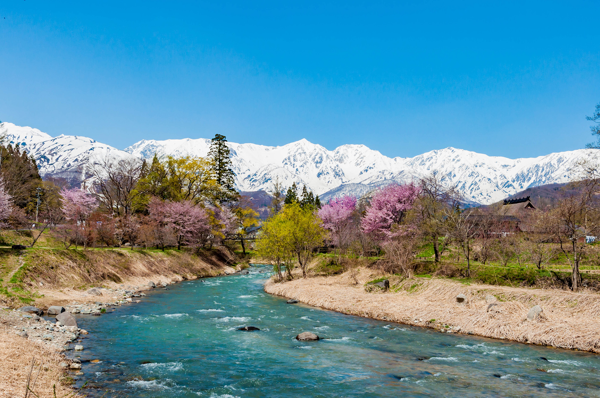 Hakuba