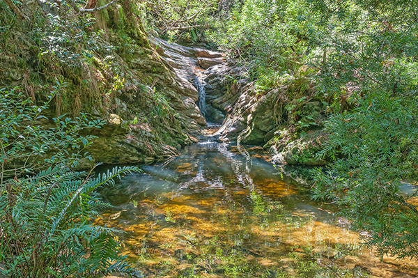 Jubilee Creek Nature Reserve, Garden Route, South Africa