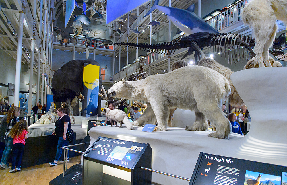 National Museum of Scotland, Edinburgh