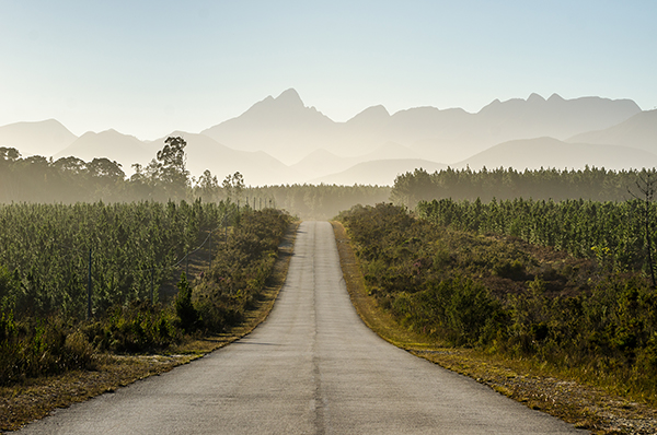 N2 Highway, Garden Route, South Africa