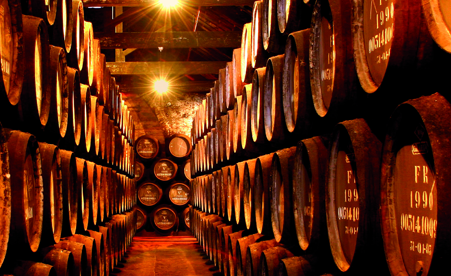 Port cellar, Porto, Portugal