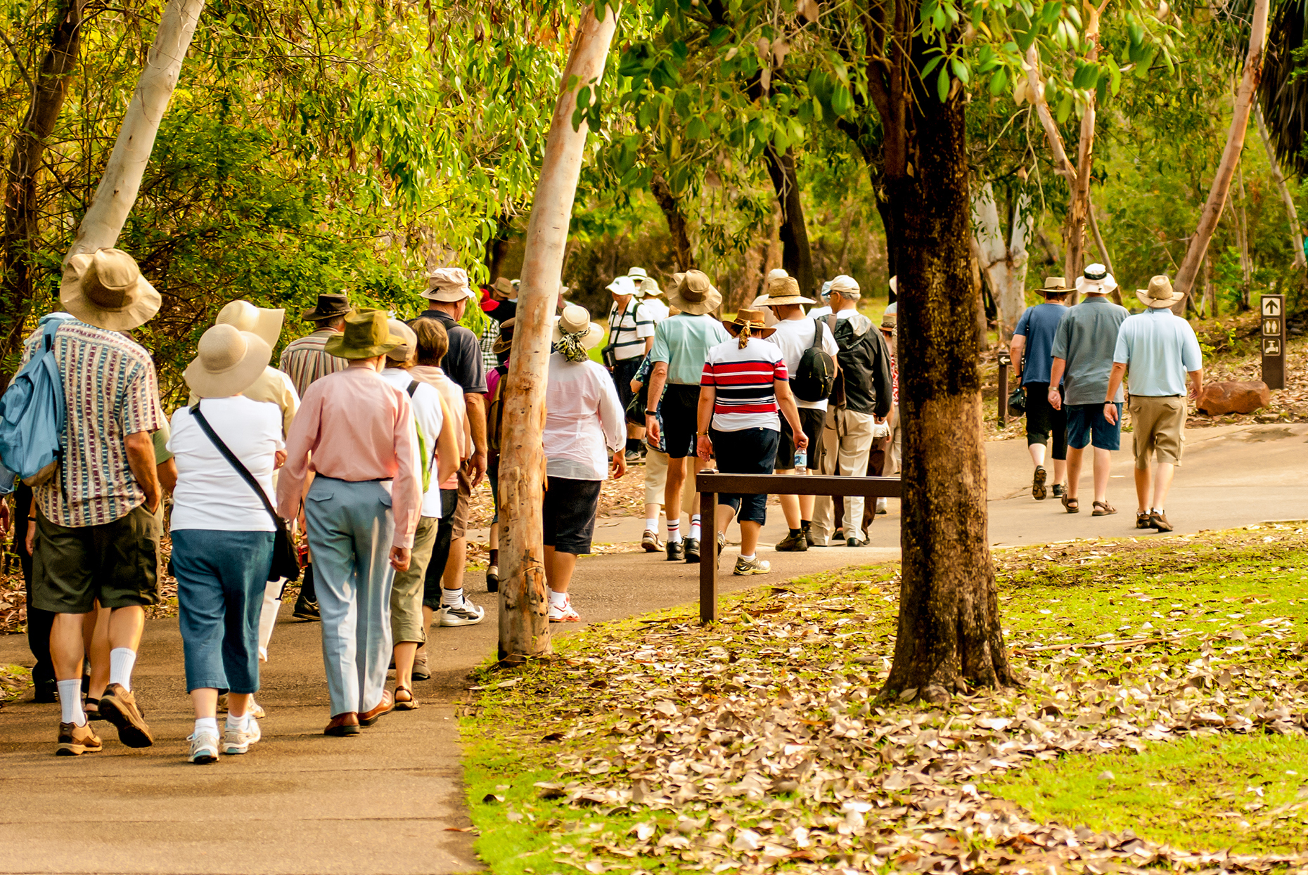 Senior travellers