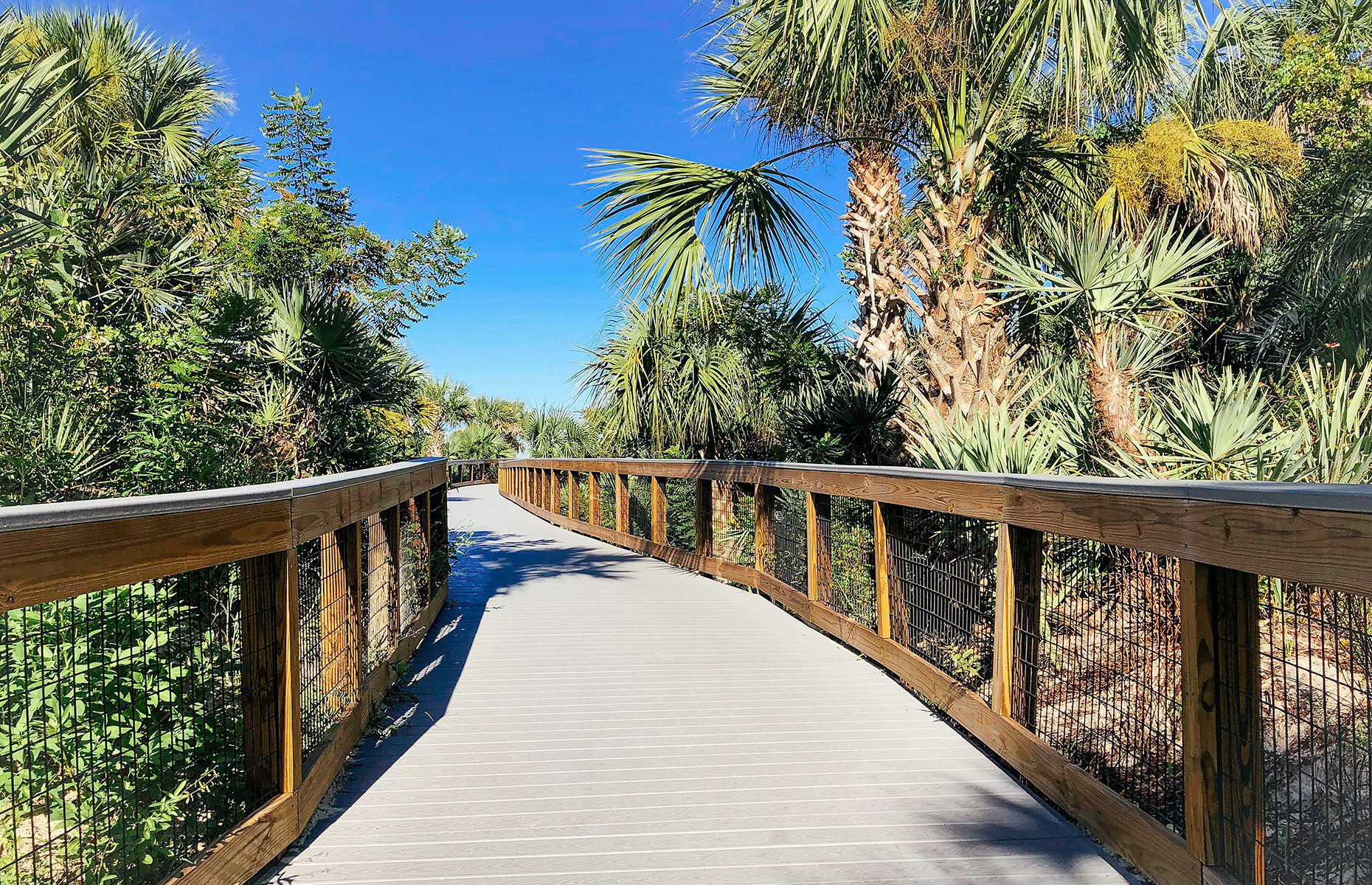 Smyrna Dunes Park (Image: New Smyrna Beach Area Visitors Bureau/CB)