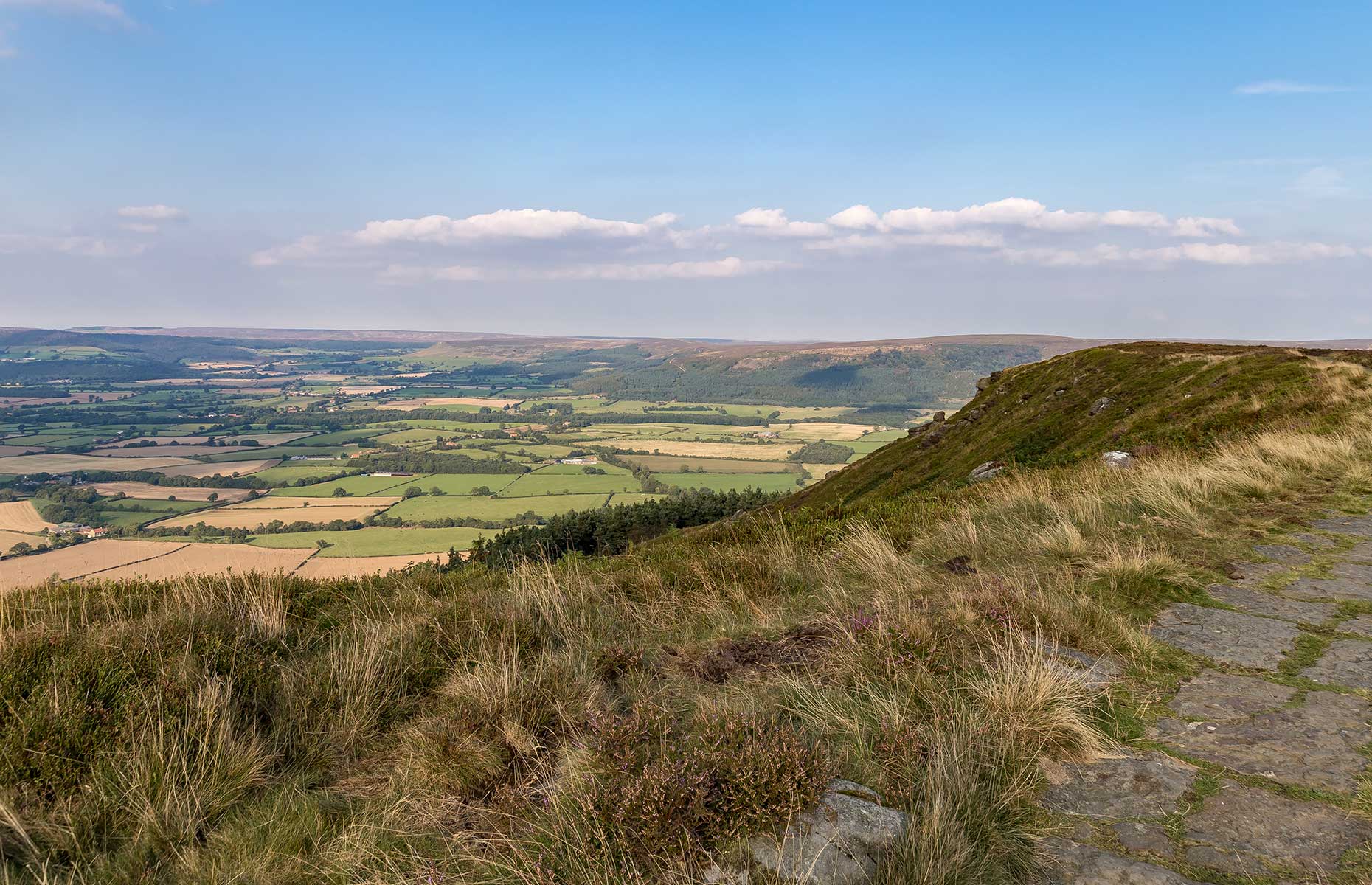 Cleveland Way, North York Moors (Image: BerndBrueggemann/Shutterstock)