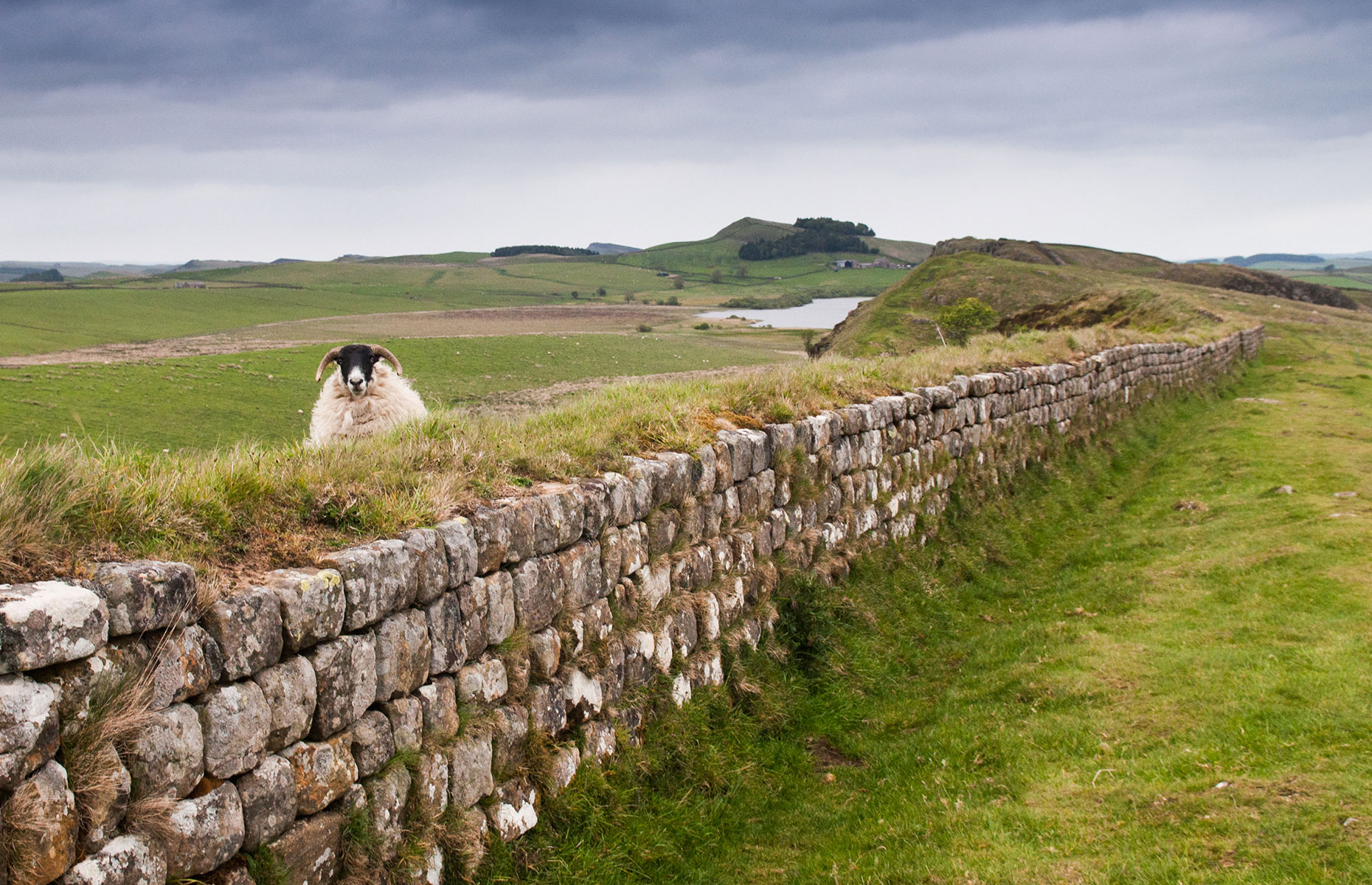 Hadrian's Wall (Image: Joe Dunckley/Shutterstock)