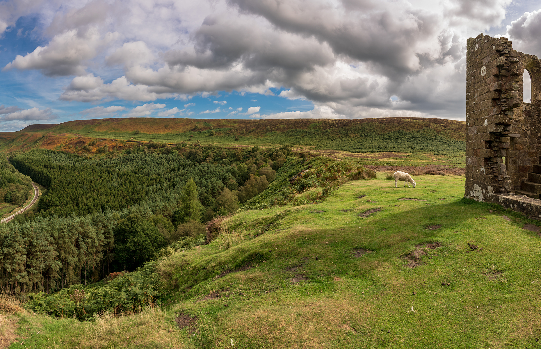 Levisham Moor