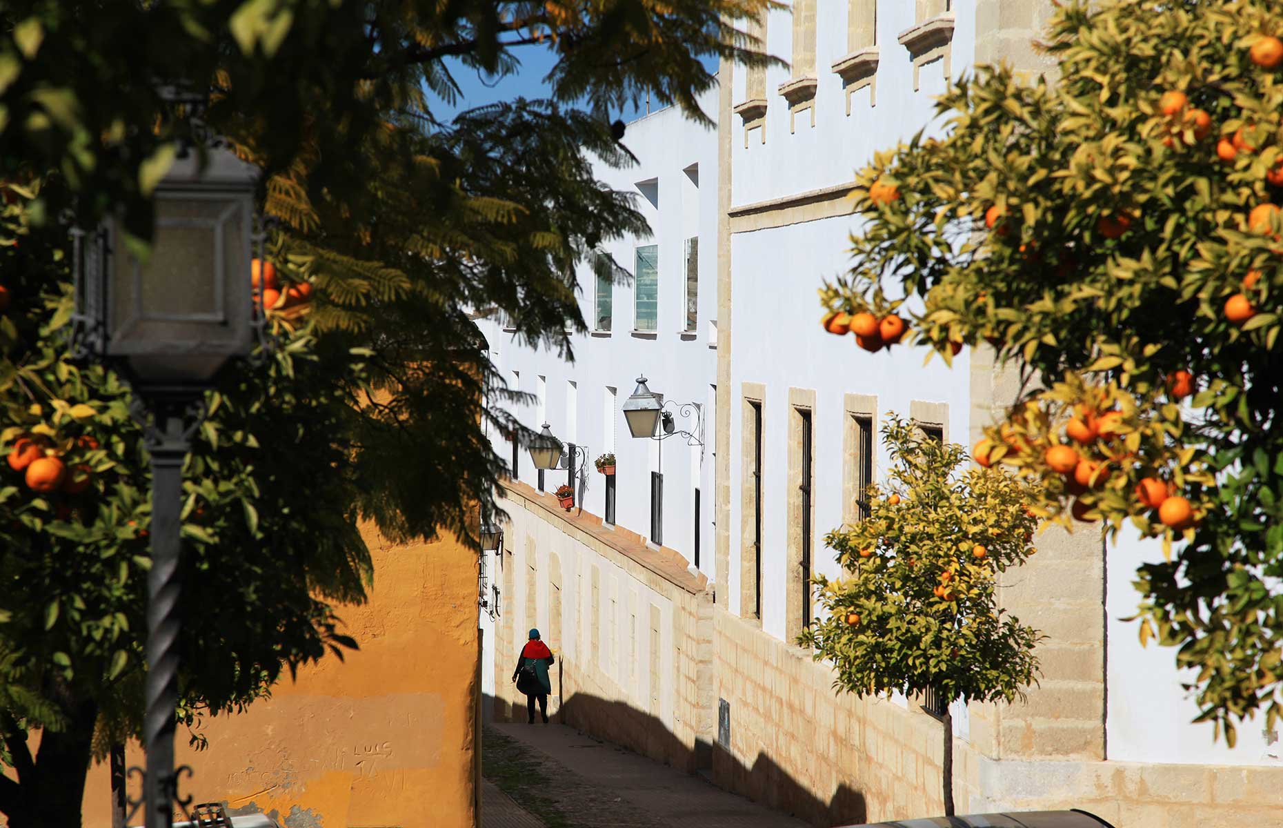 The streets of Jerez in February, complete with orange trees
