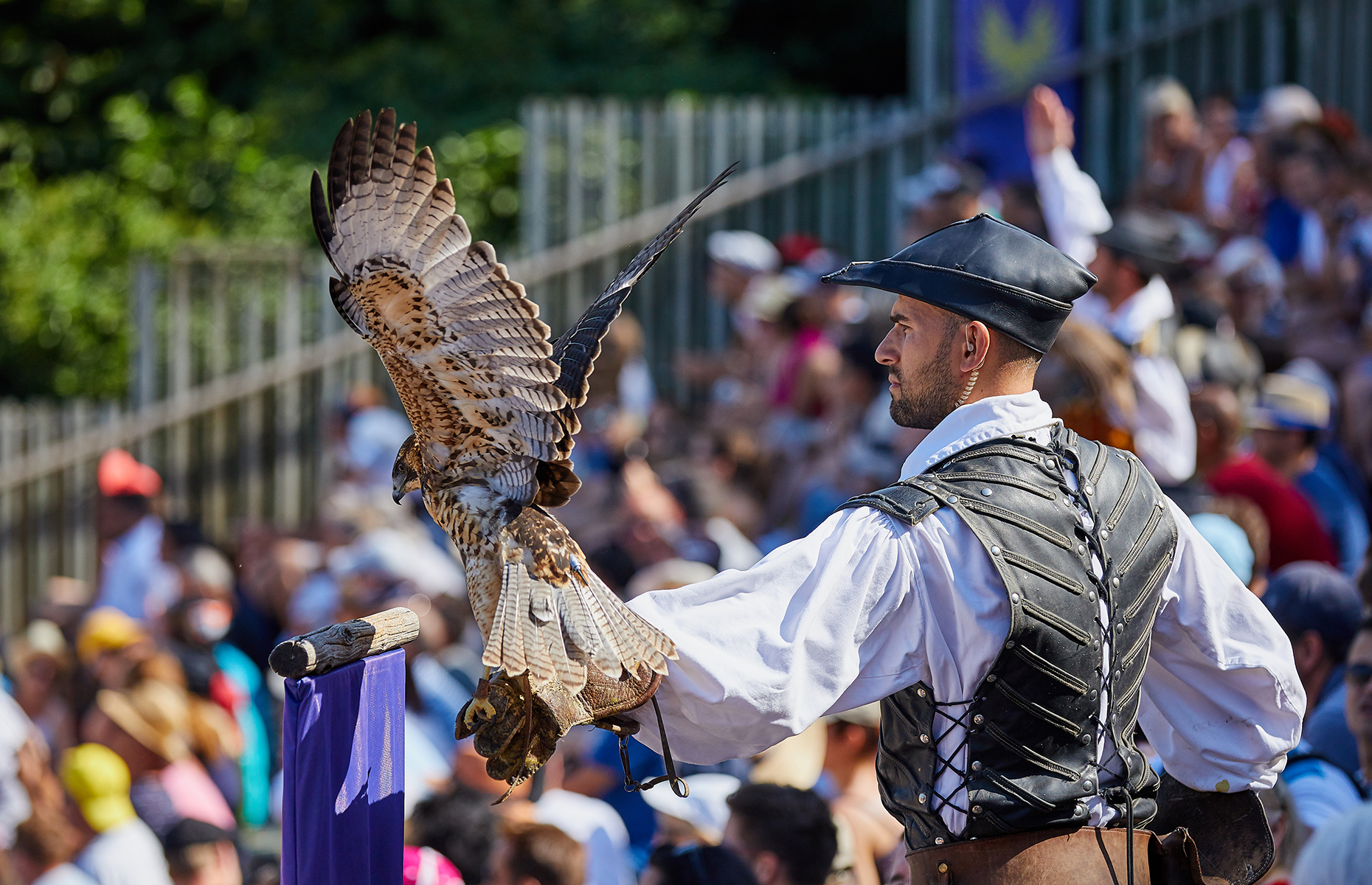 Le Bal des Oiseaux Fantômes at Puy du Fou (Image: Stéphane Audran/Puy du Fou)