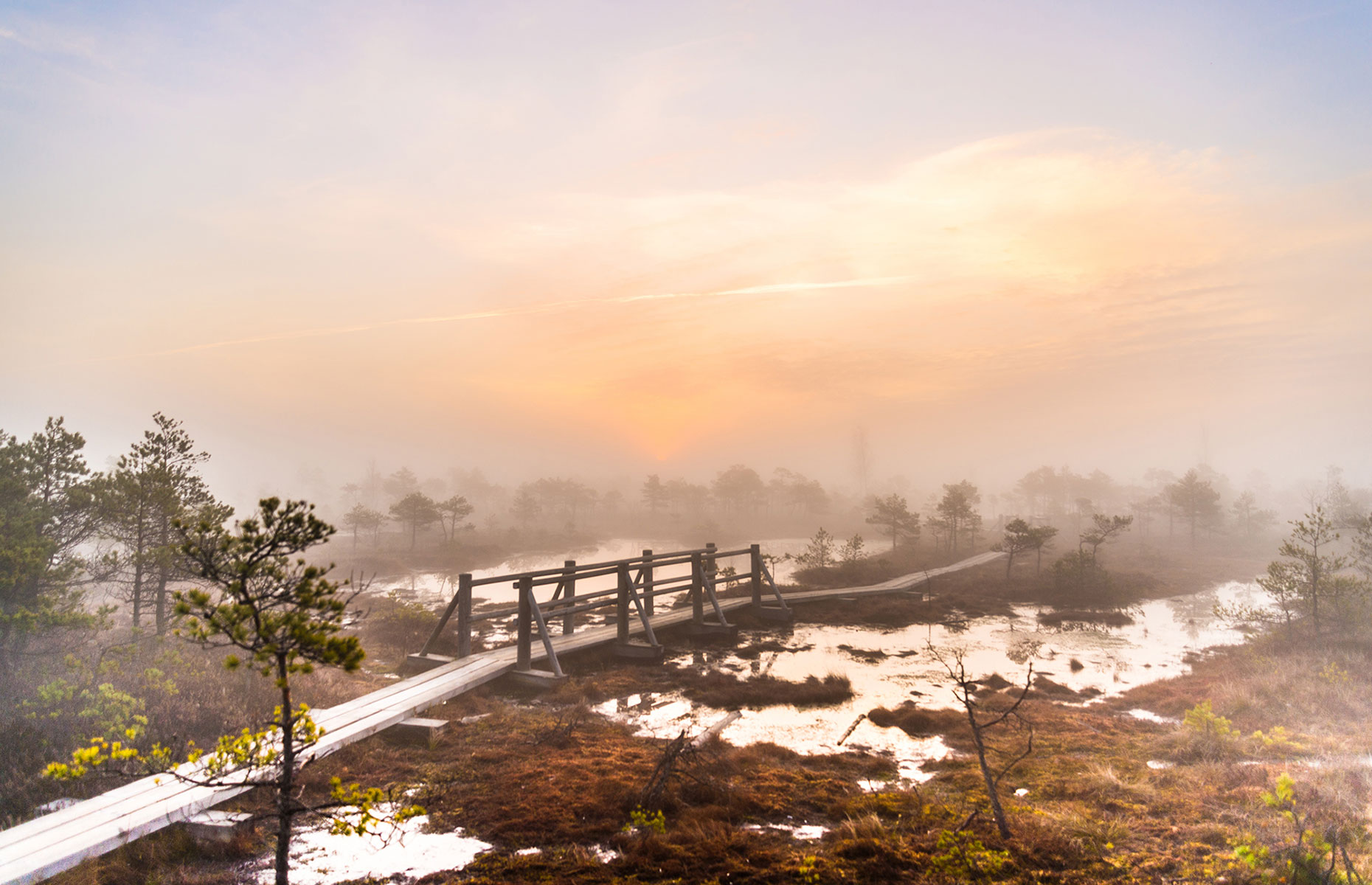 Sunrise at Kemeri, Latvia (Image: mdbildes/Shutterstock)