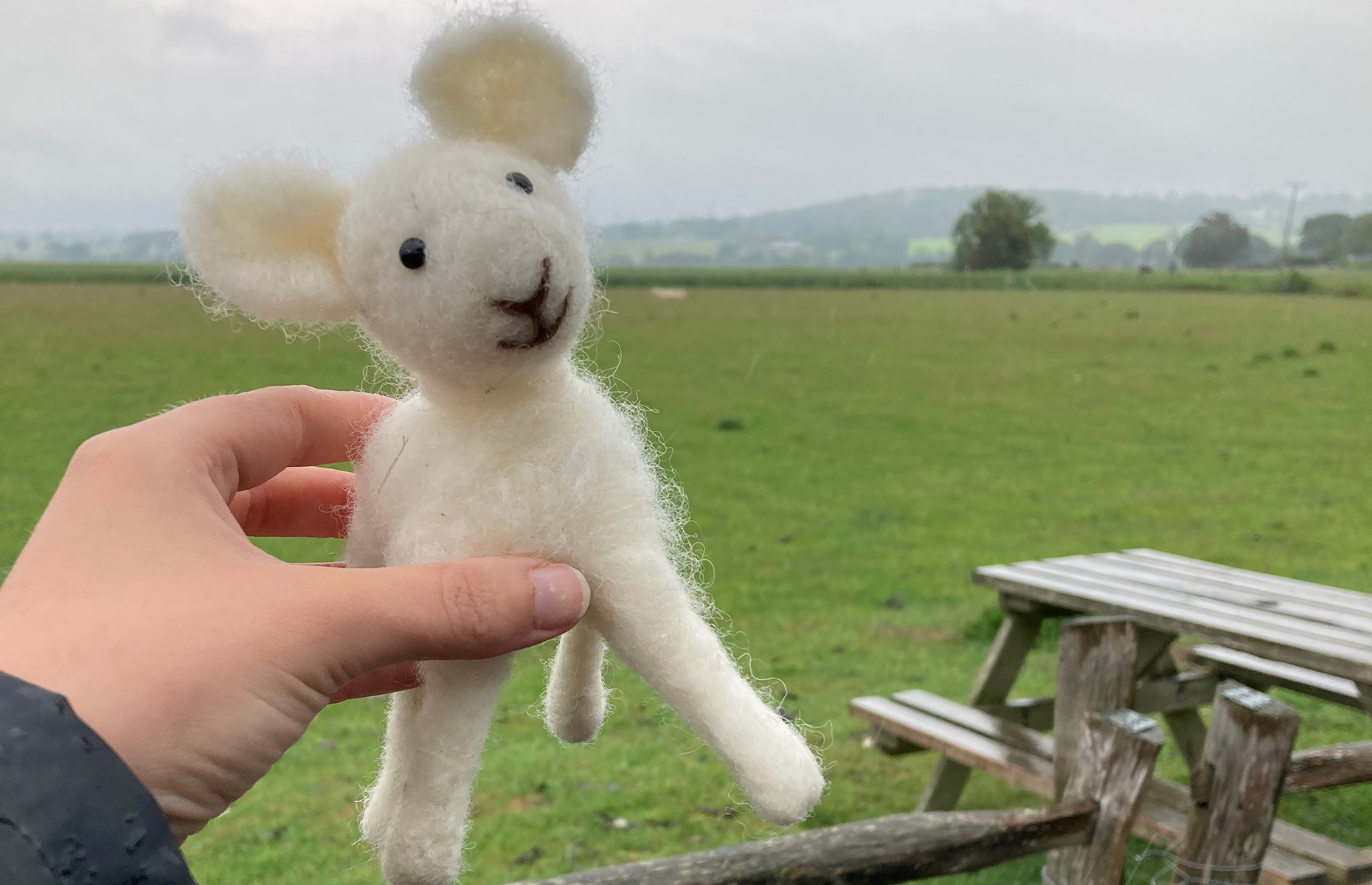 Felting at Romney Marsh (Image: Jacqui Agate)