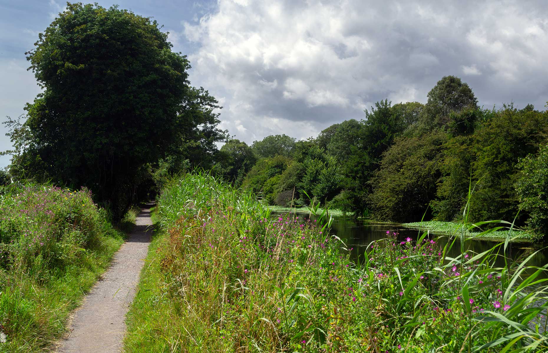 Royal Military Canal at Romney Marsh (Image: Veronique Stone/Shutterstock)