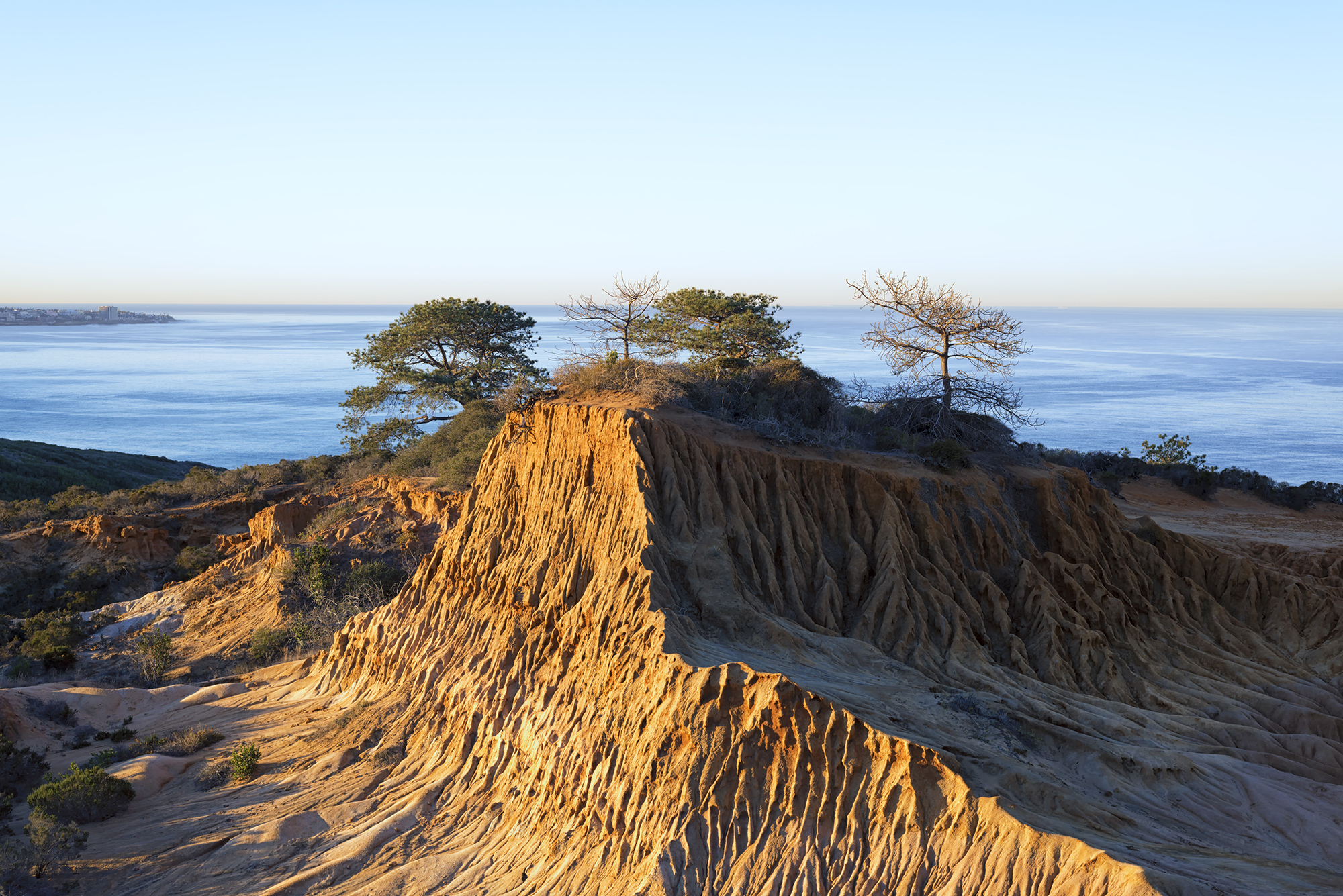 Torrey Pines State Natural Reserve