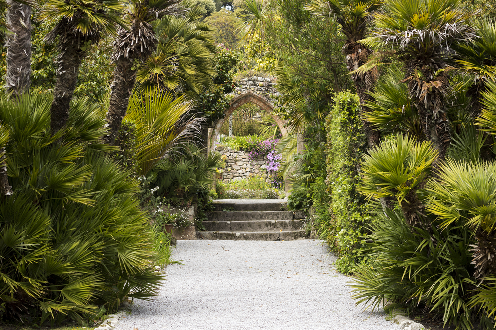 Tresco Abbey Gardens