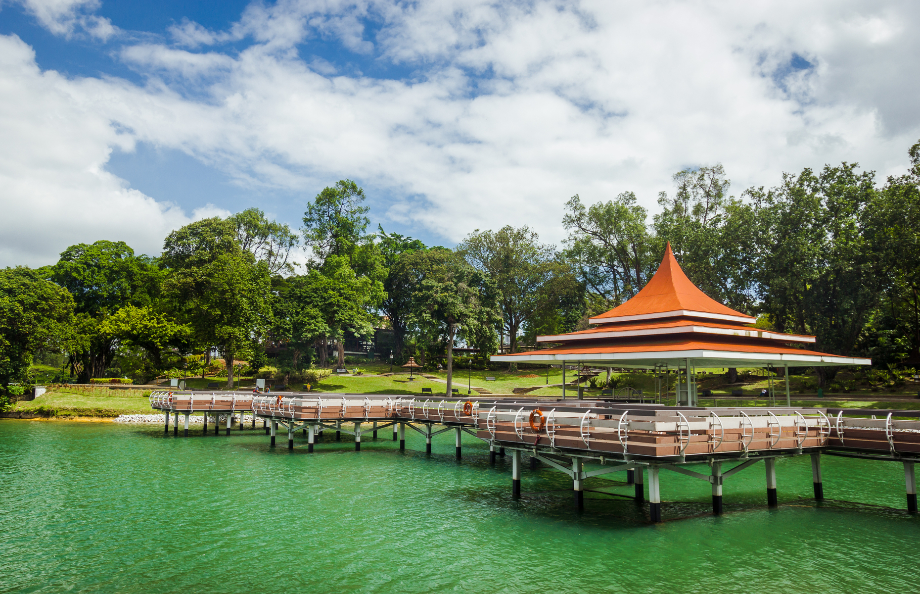 MacRitchie Reservoir