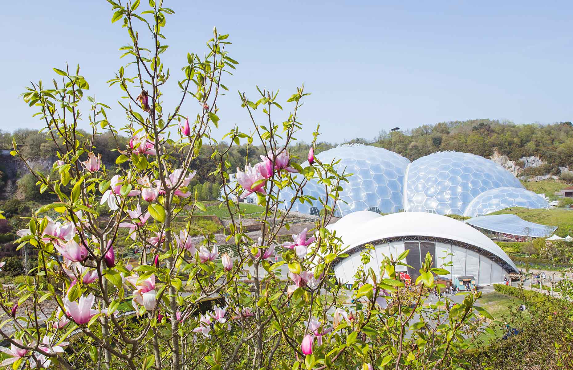 Eden Project, Cornwall