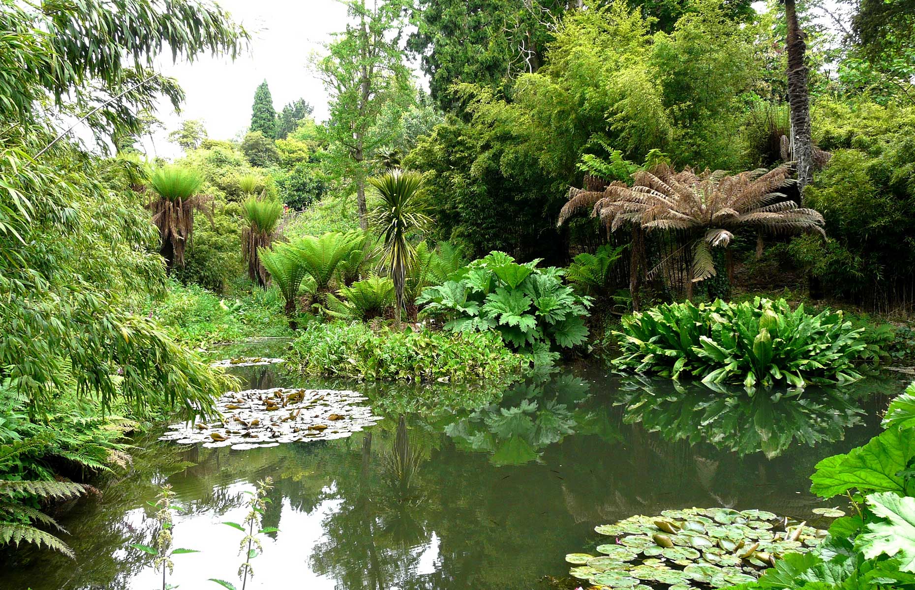 Lost Gardens Of Heligan