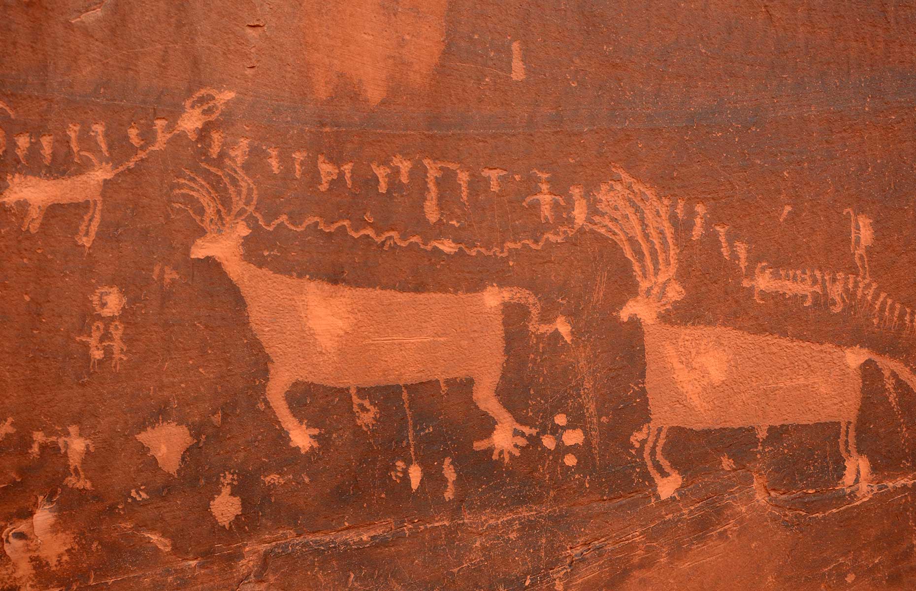 Sand Island Petroglyphs