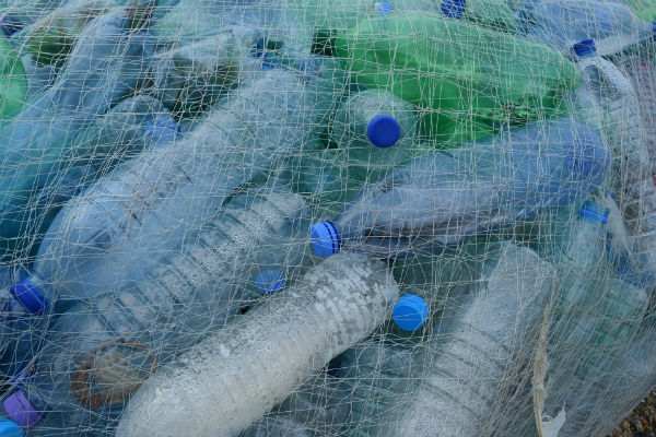 Plastic bottles