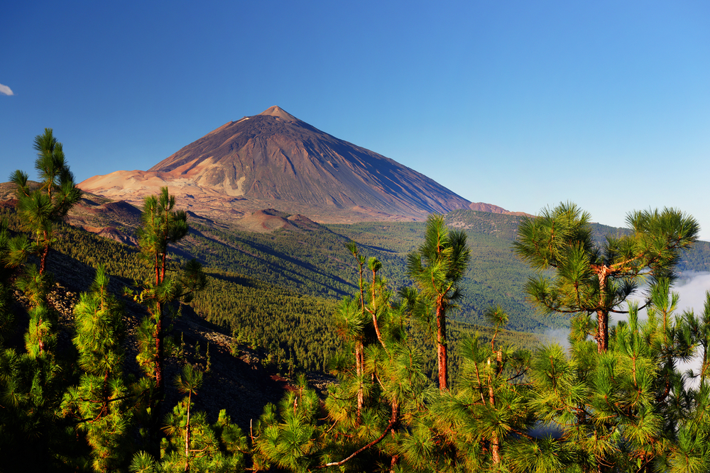 Mount Teide, Tenerife