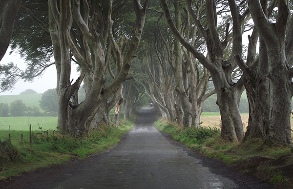 Game of Thrones Ireland