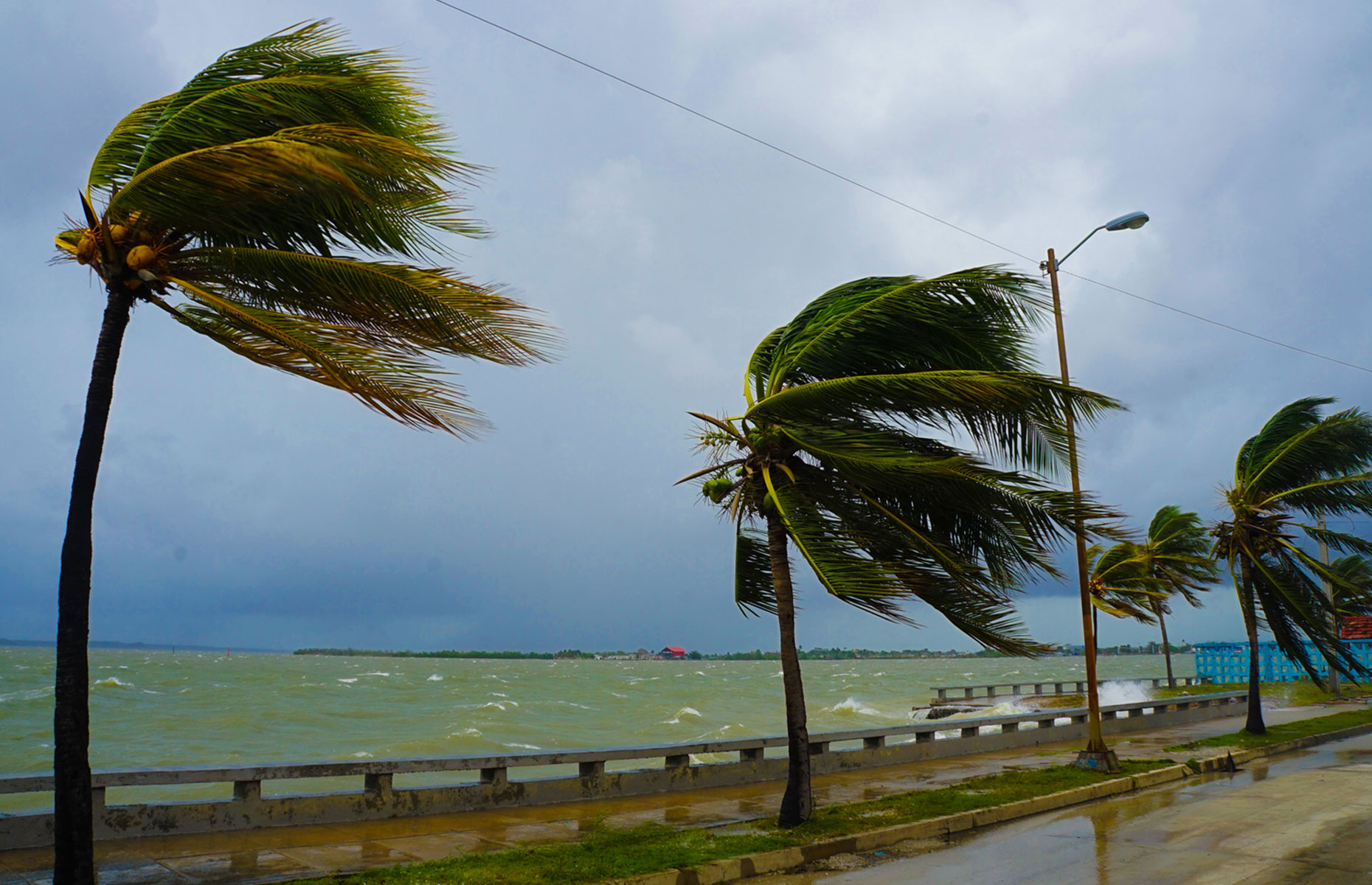 Hurricane-prone countries could be omitted from your cover.