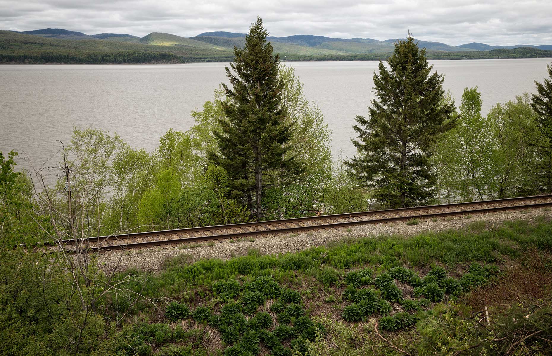 Scenery on The Ocean train