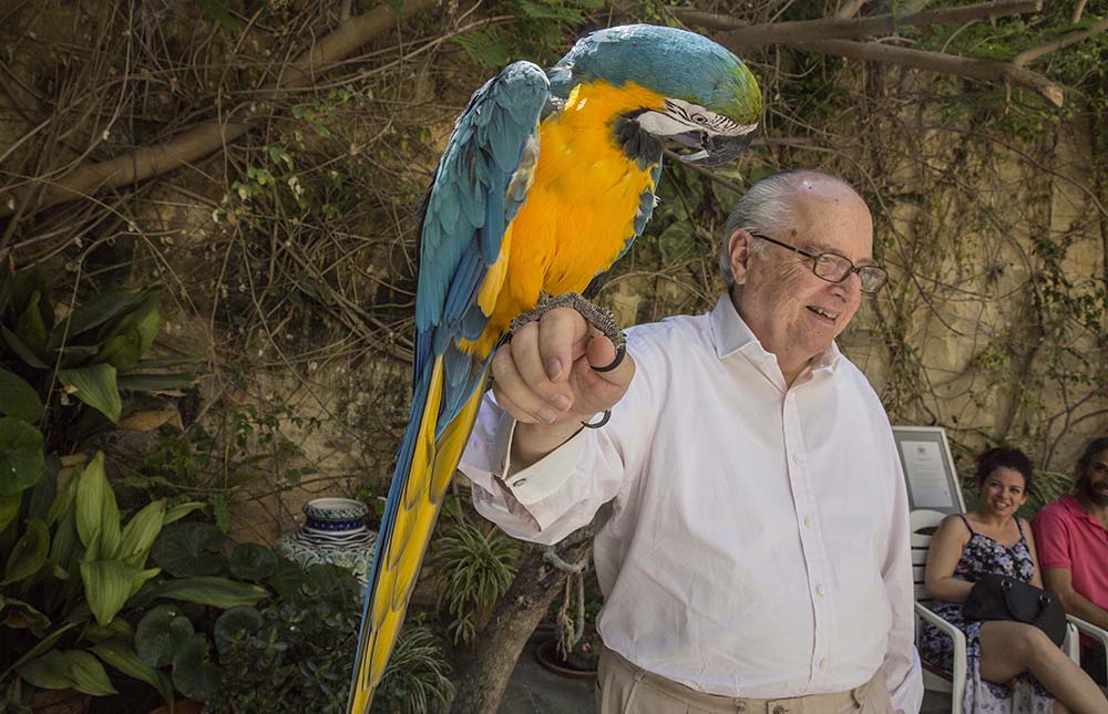 Parrot at Casa Rocca Piccola, Valletta, Malta