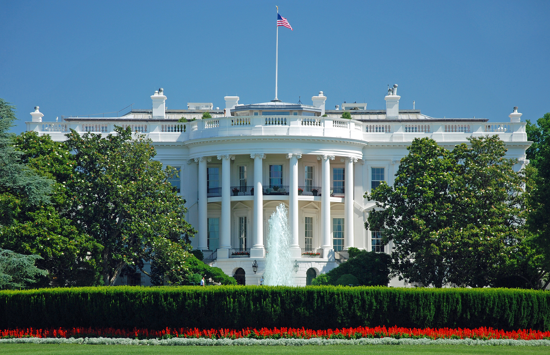 The white house