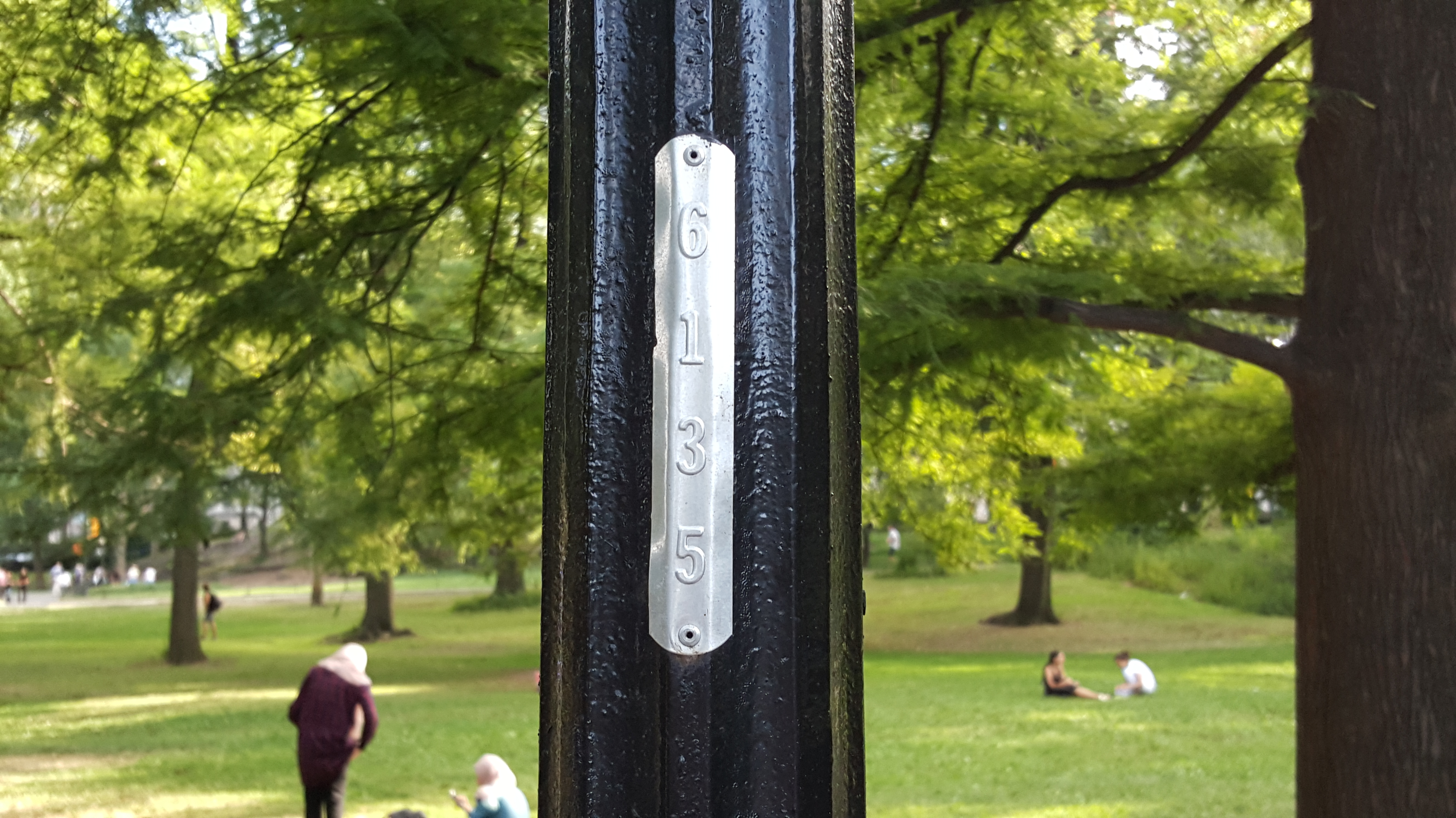 A numbered street light in Central Park (Image: MSuper/Shutterstock)